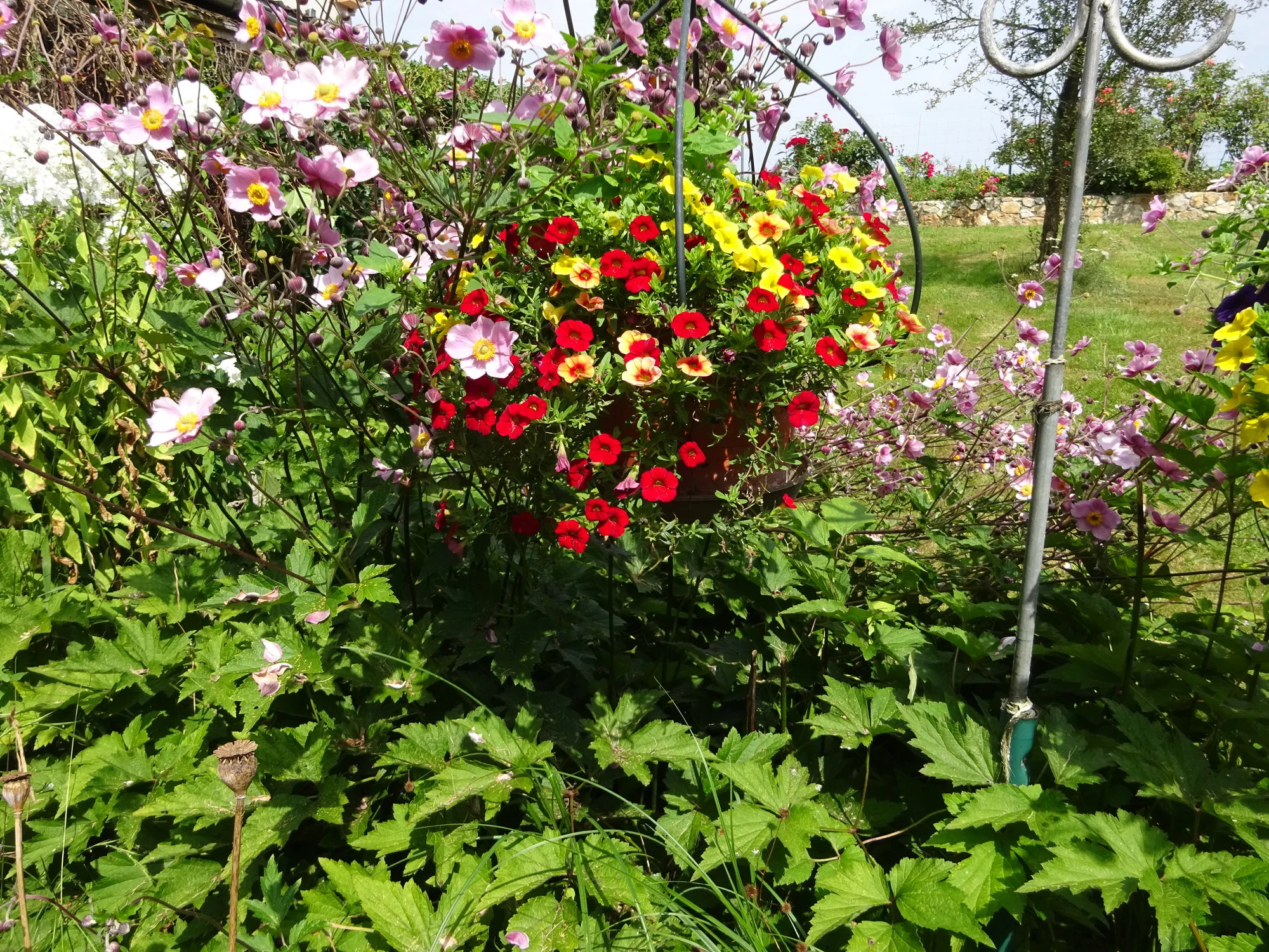 DSC03622.webp