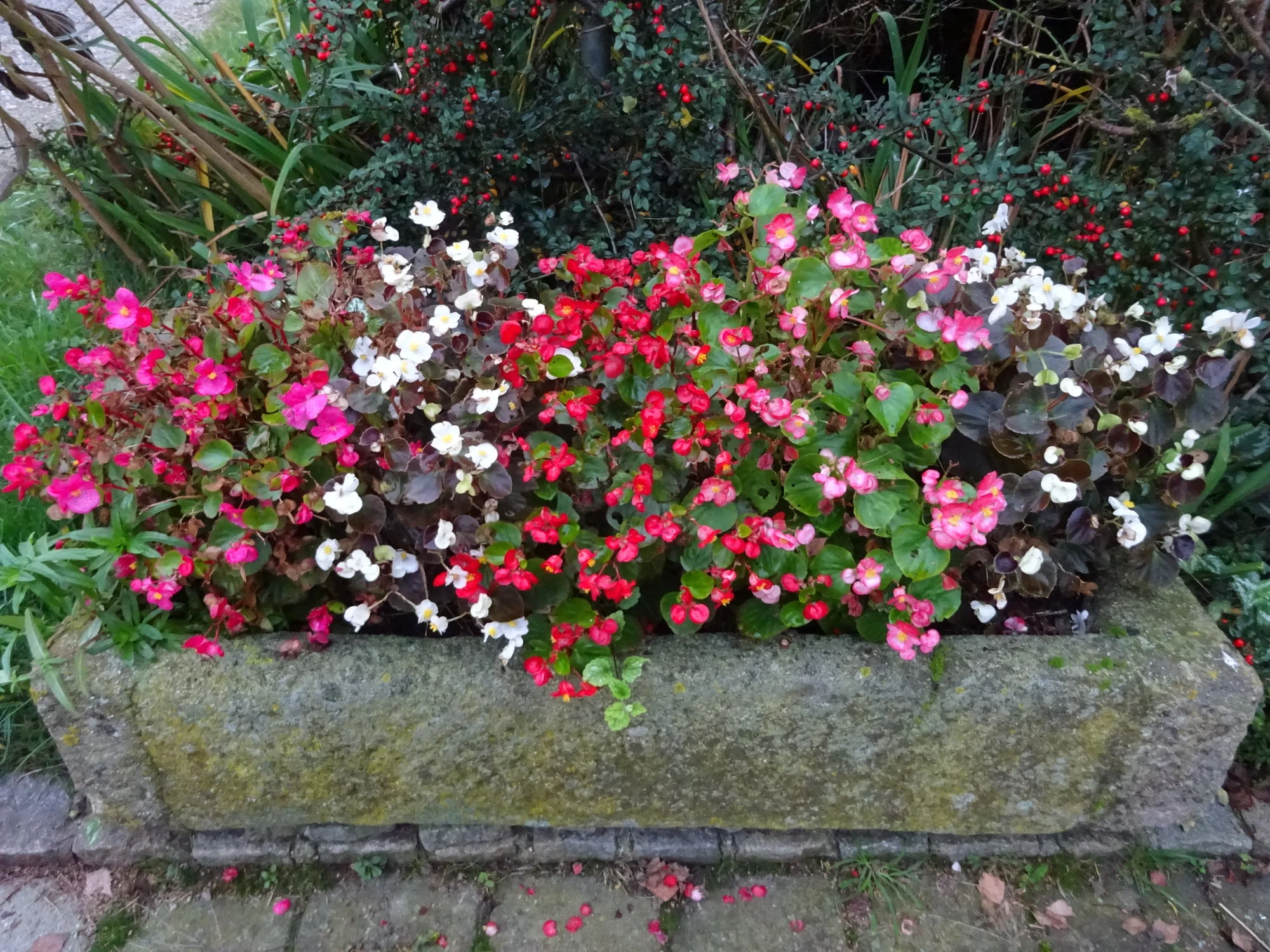 DSC03663.webp