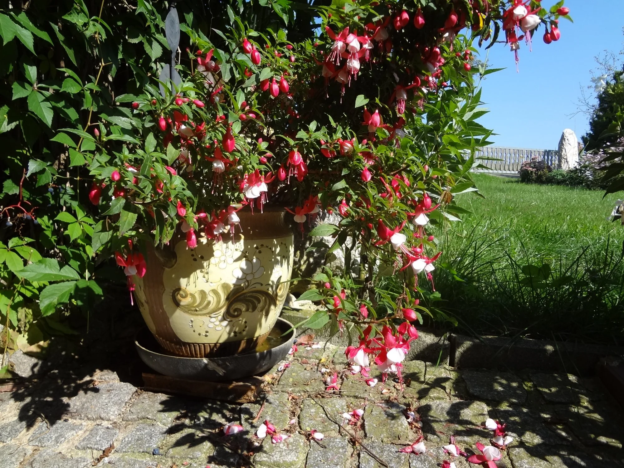 DSC03674.webp