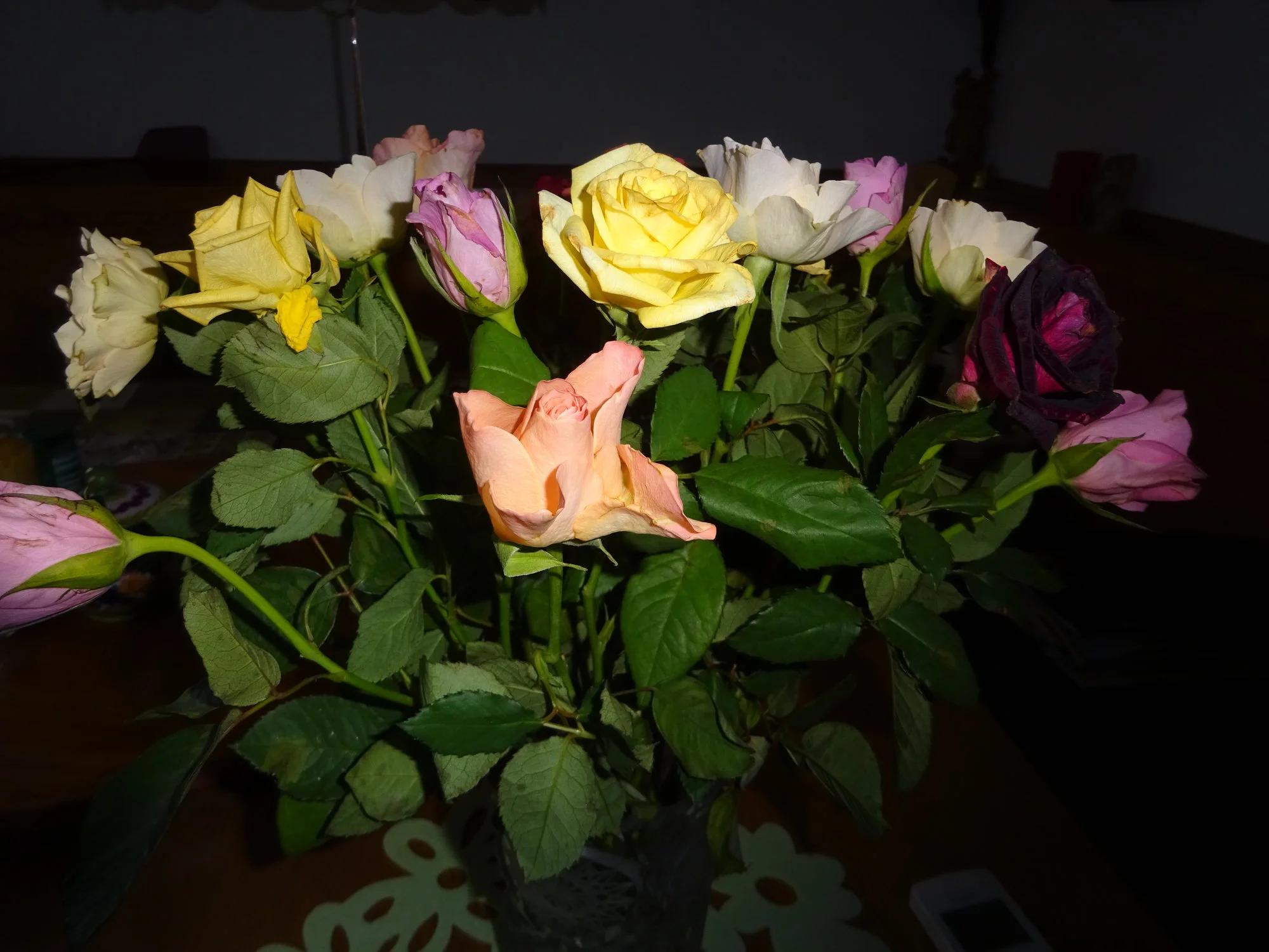 DSC03674.webp