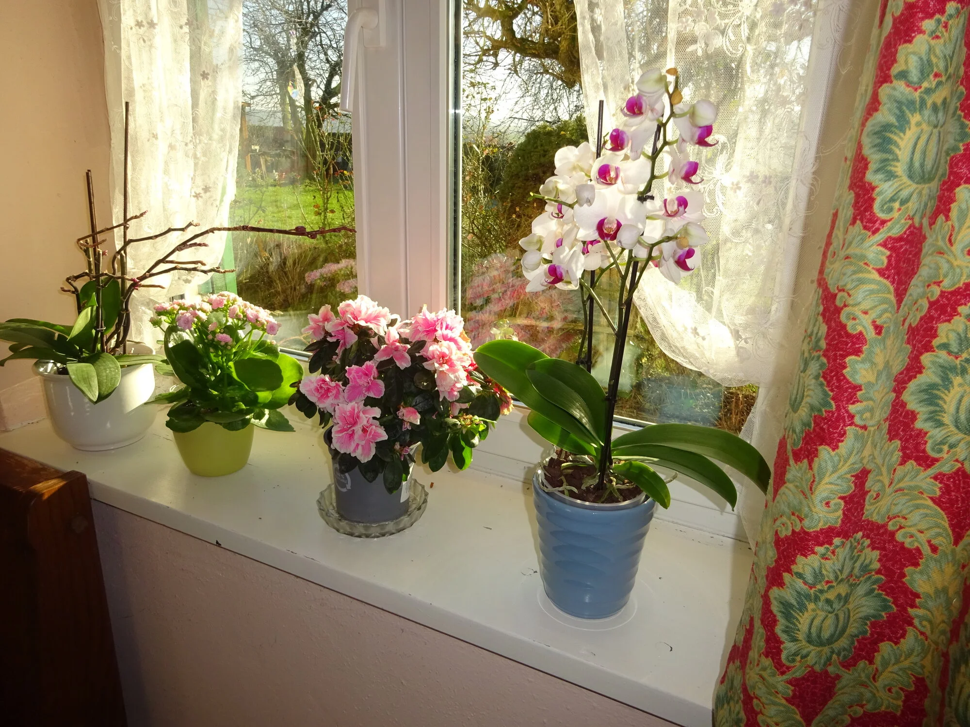DSC03689 - Kopie.webp