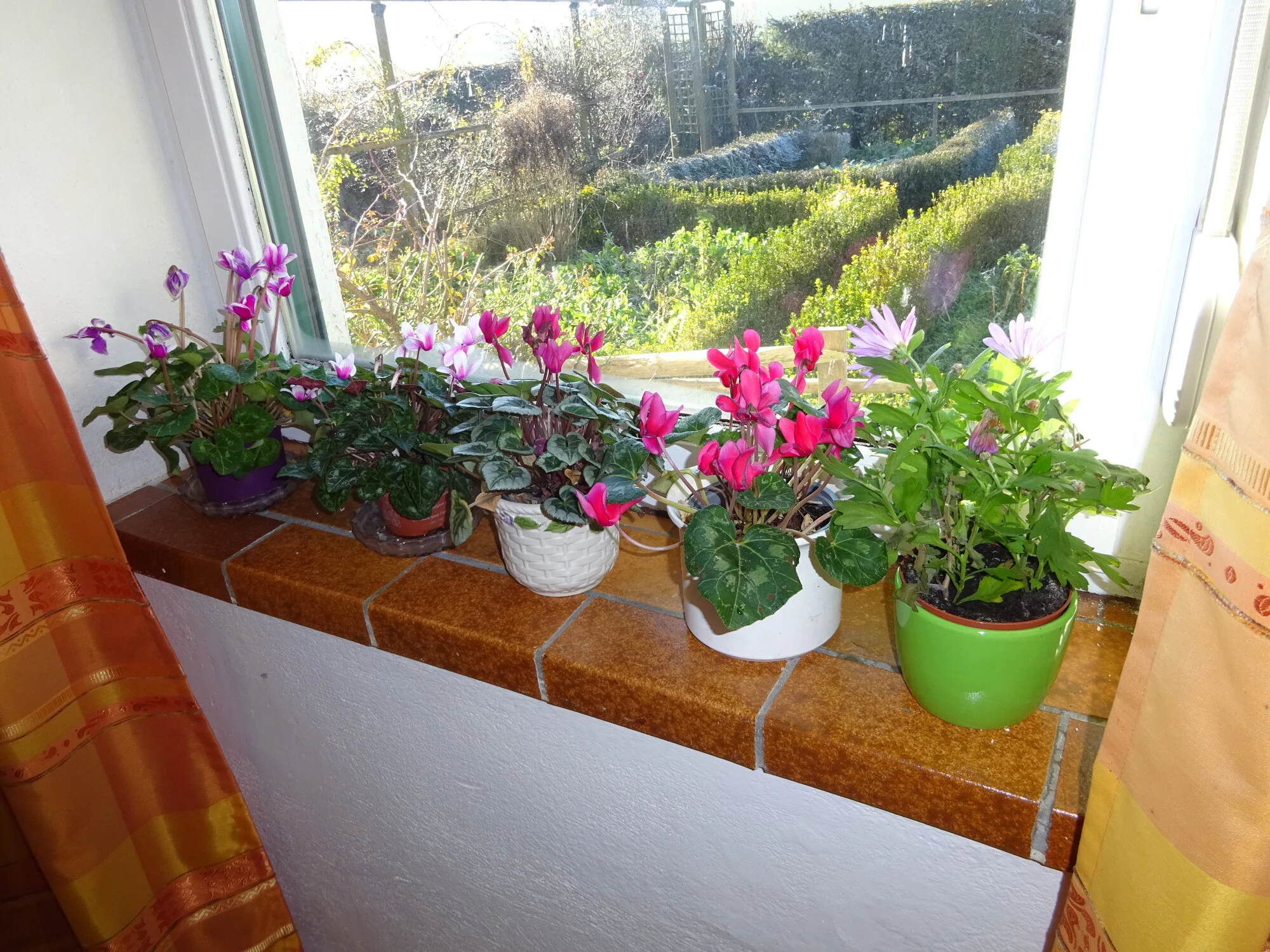 DSC03690 - Kopie.webp