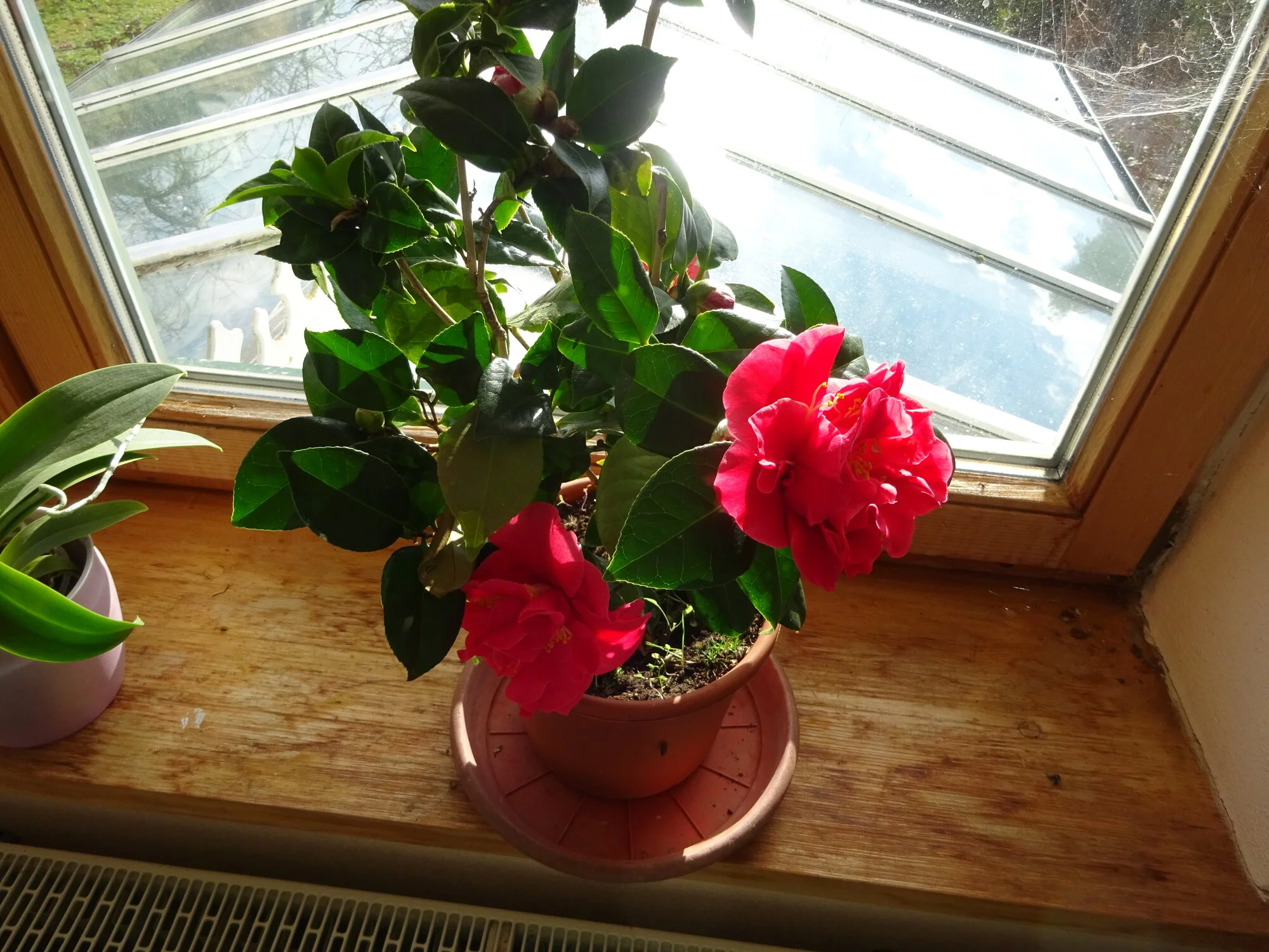 DSC03703.webp