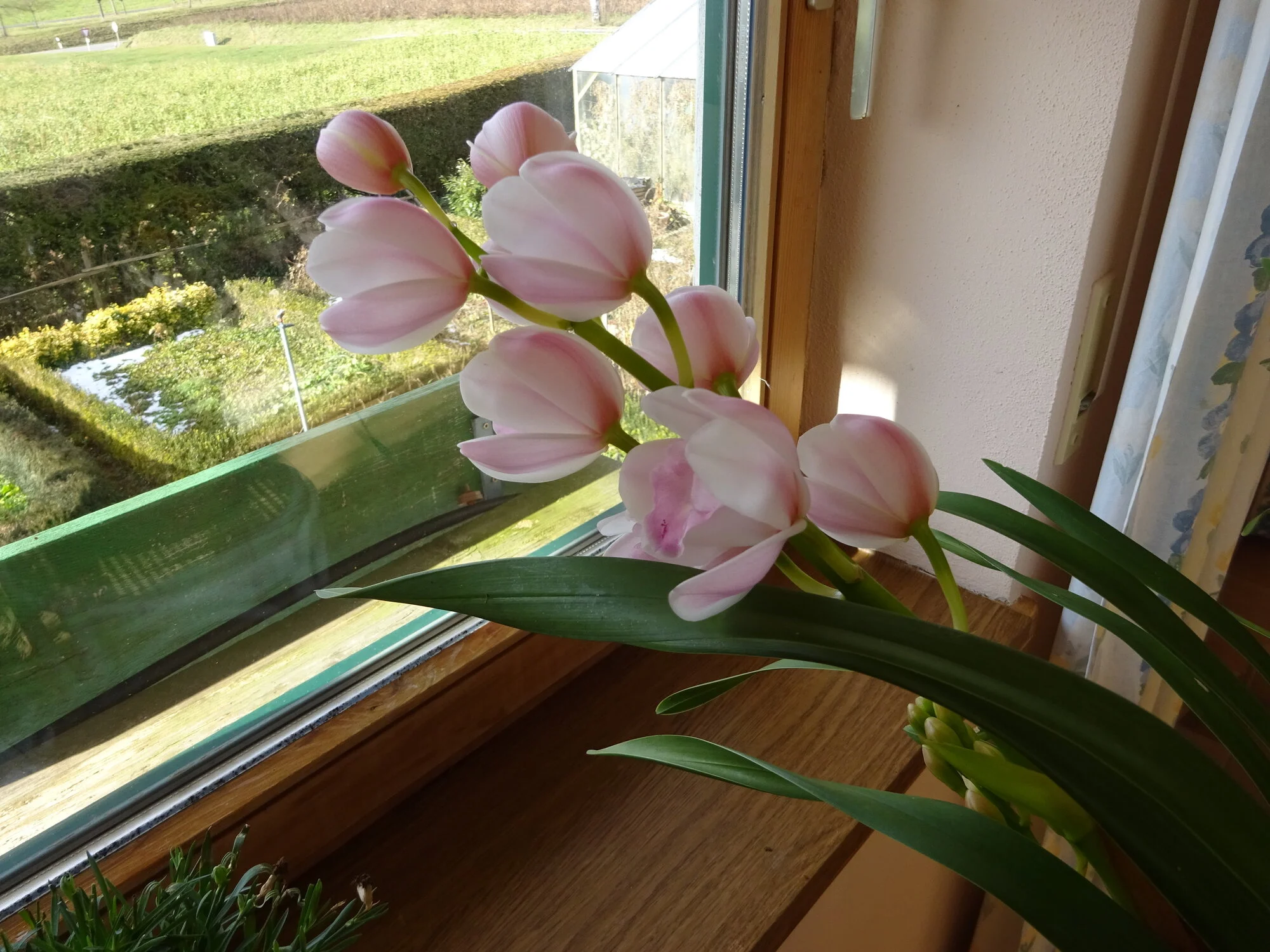 DSC03704.webp