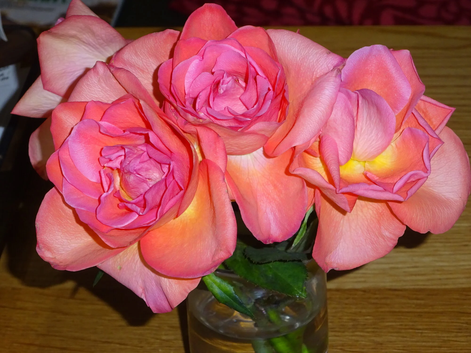 DSC03708.webp