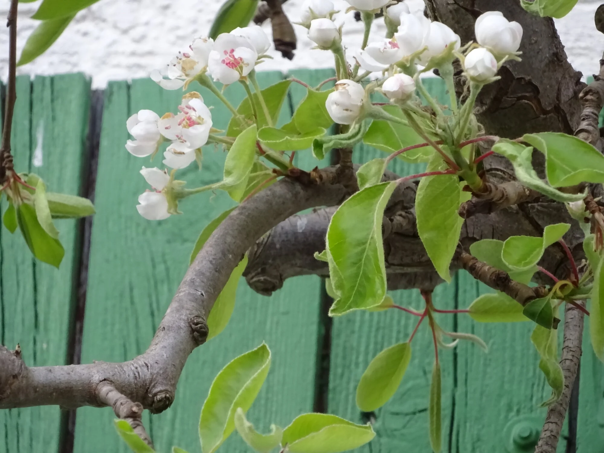 DSC03740.webp