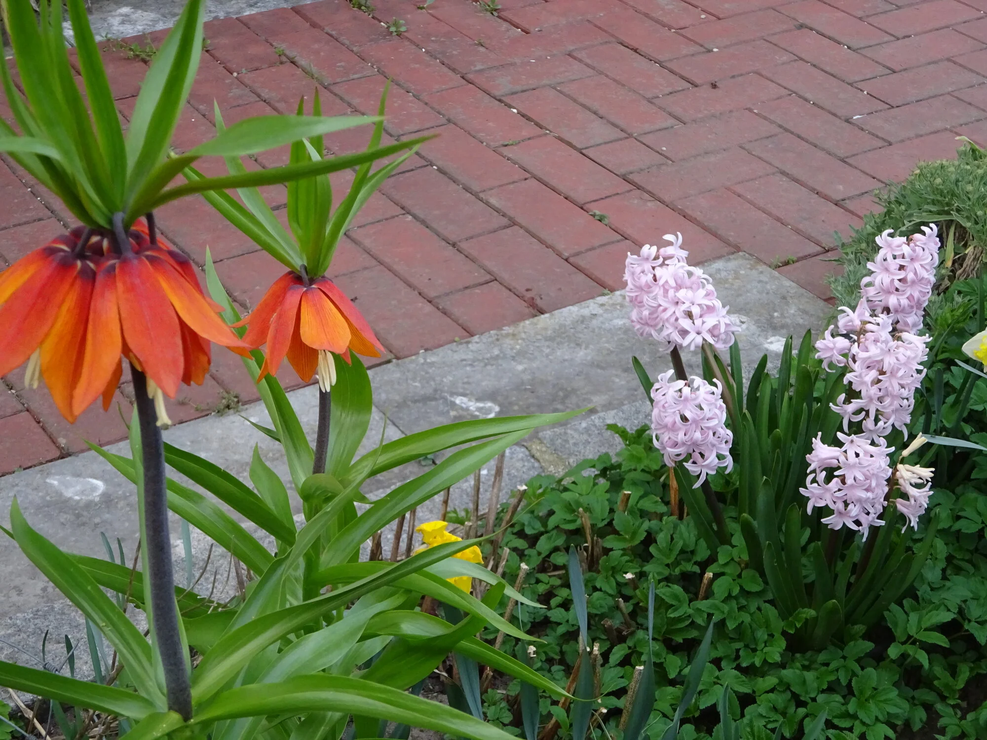 DSC03741.webp