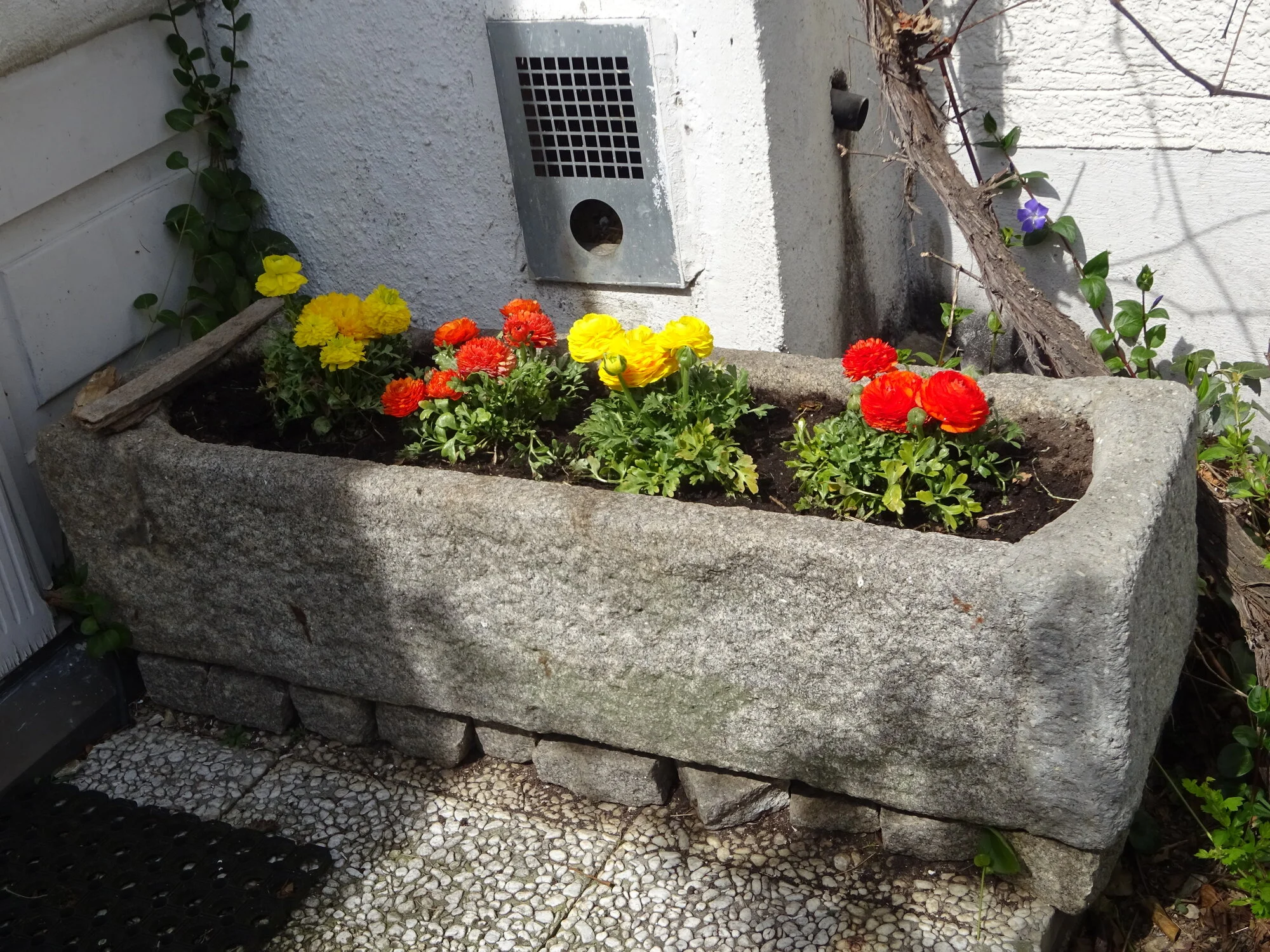 DSC03749.JPG