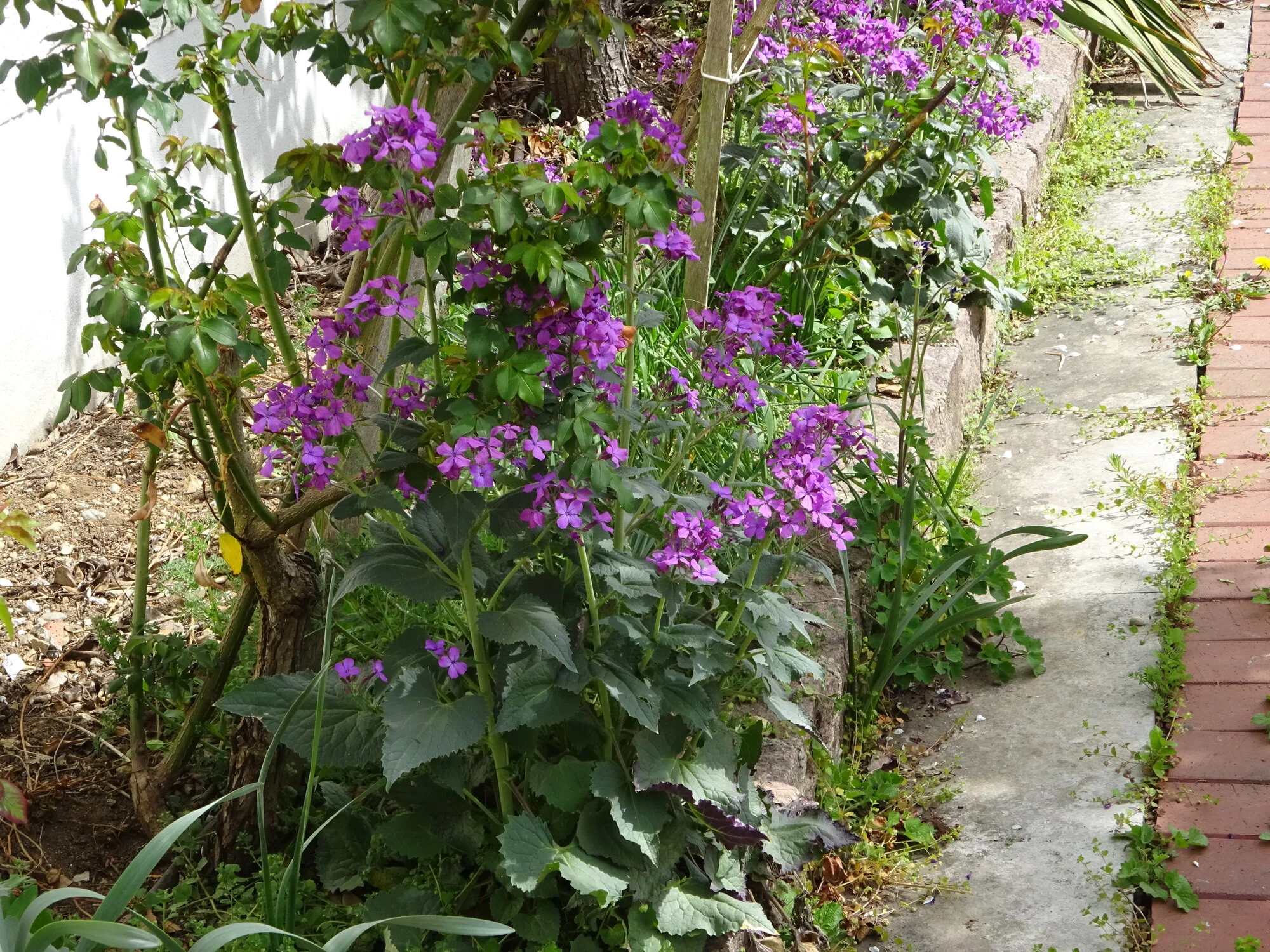 DSC03753.webp