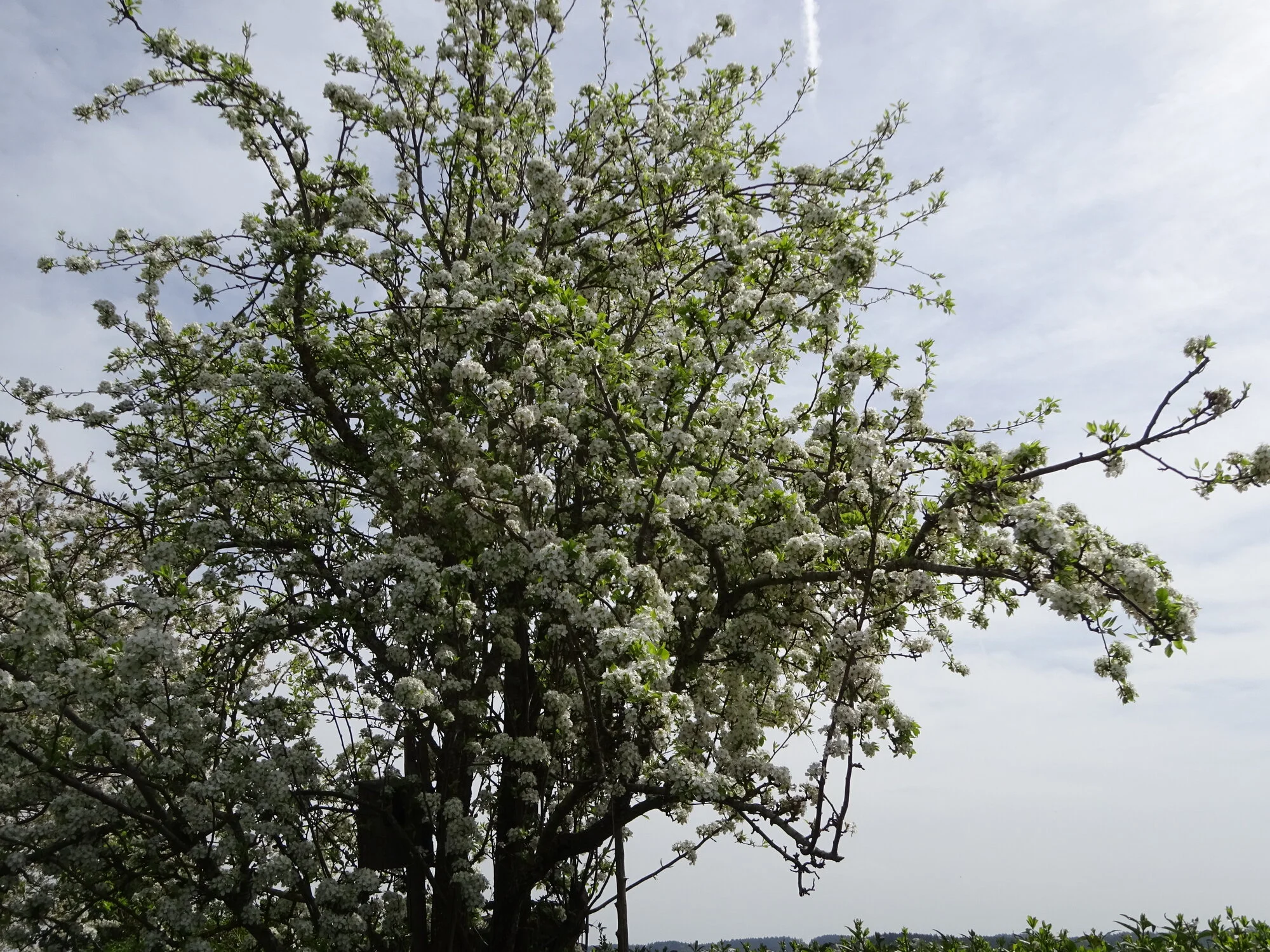 DSC03758.webp