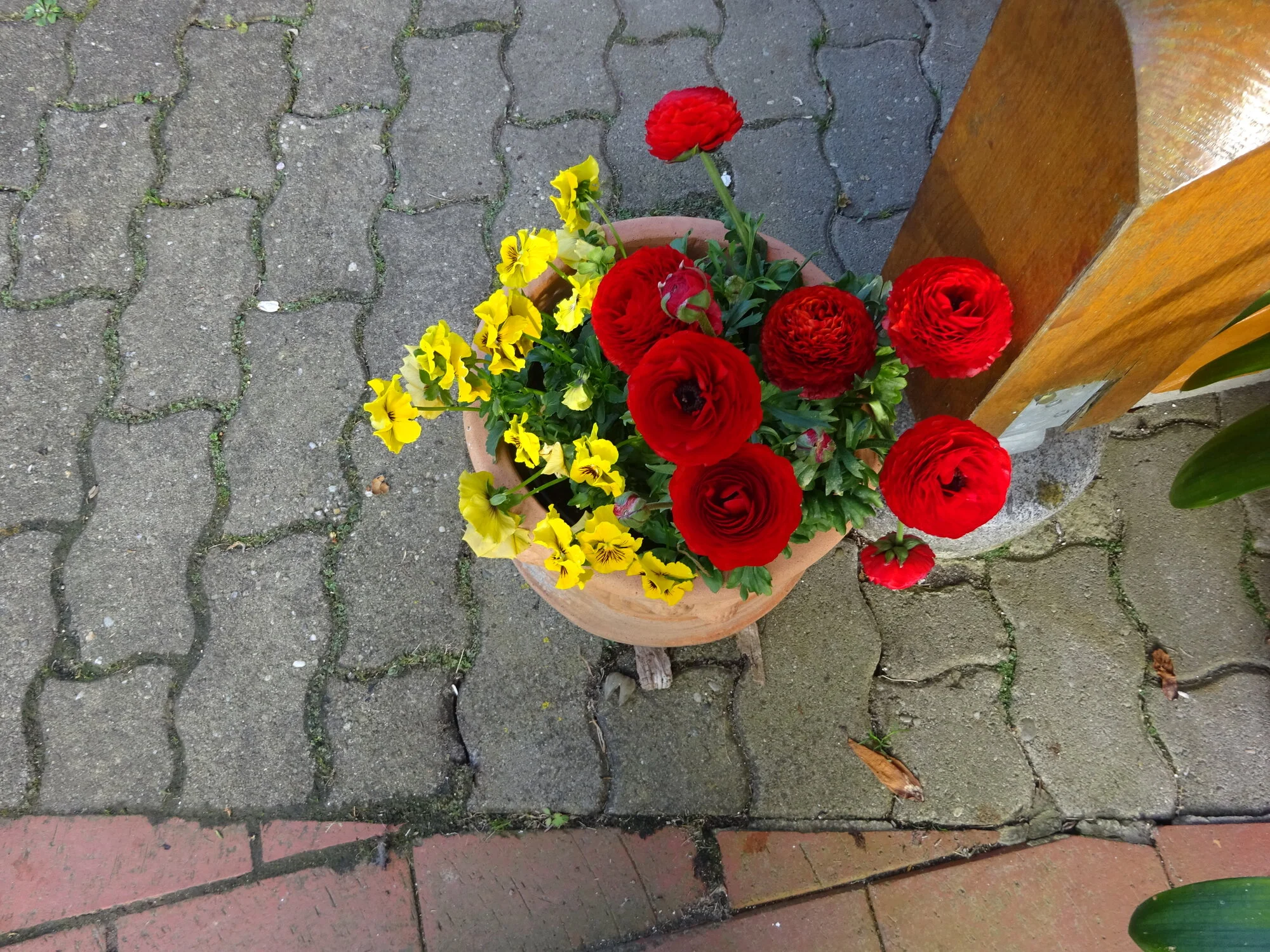 DSC03769.JPG