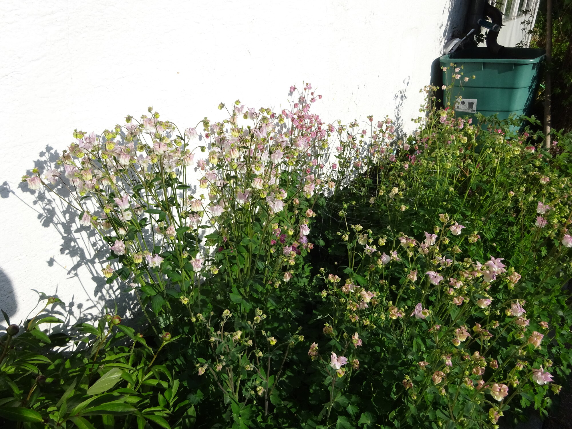 DSC03772.JPG