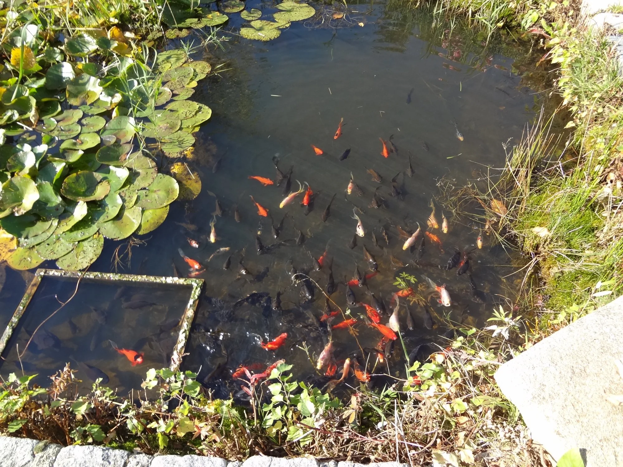 DSC03772.webp