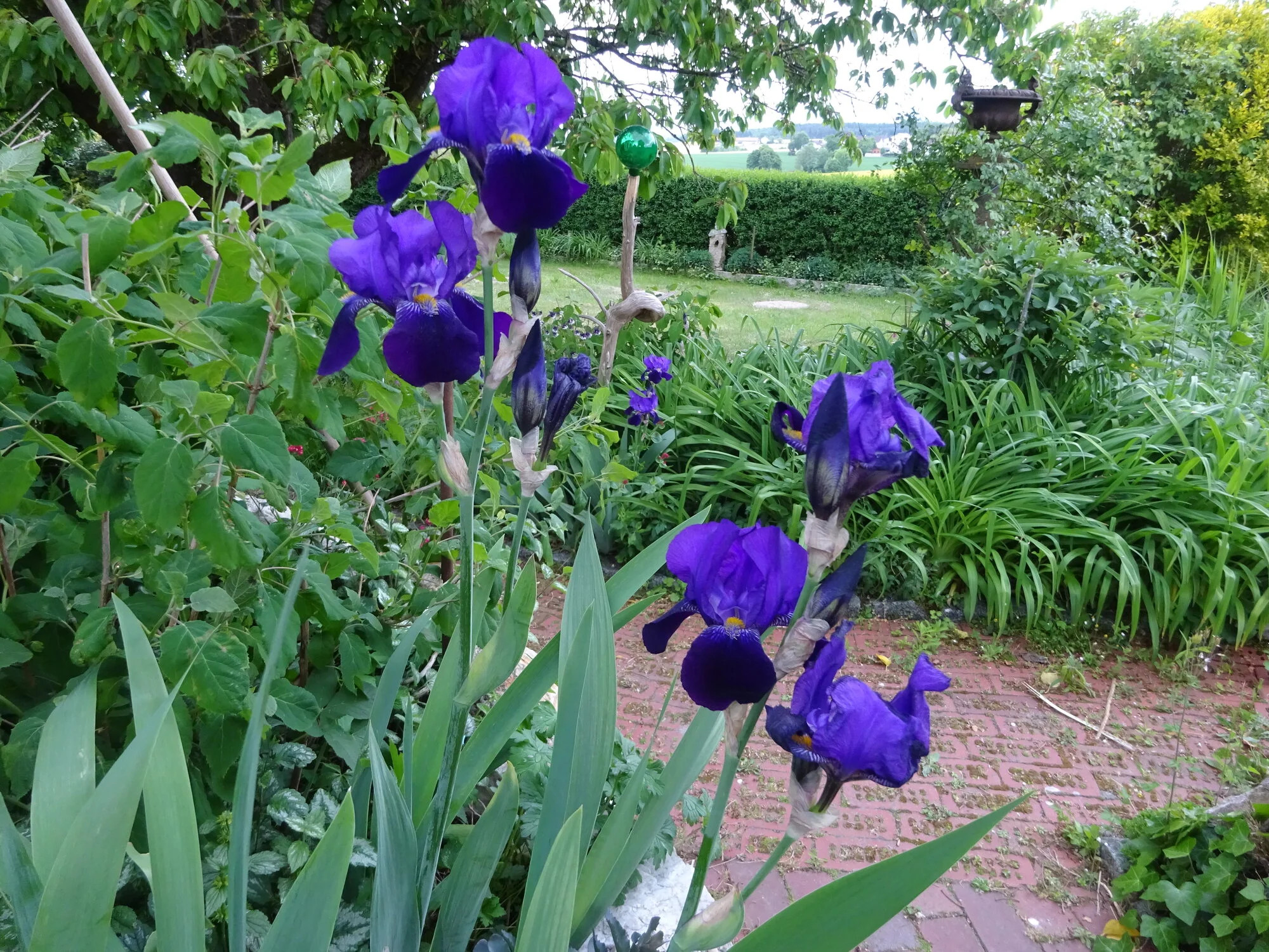 DSC03786.webp