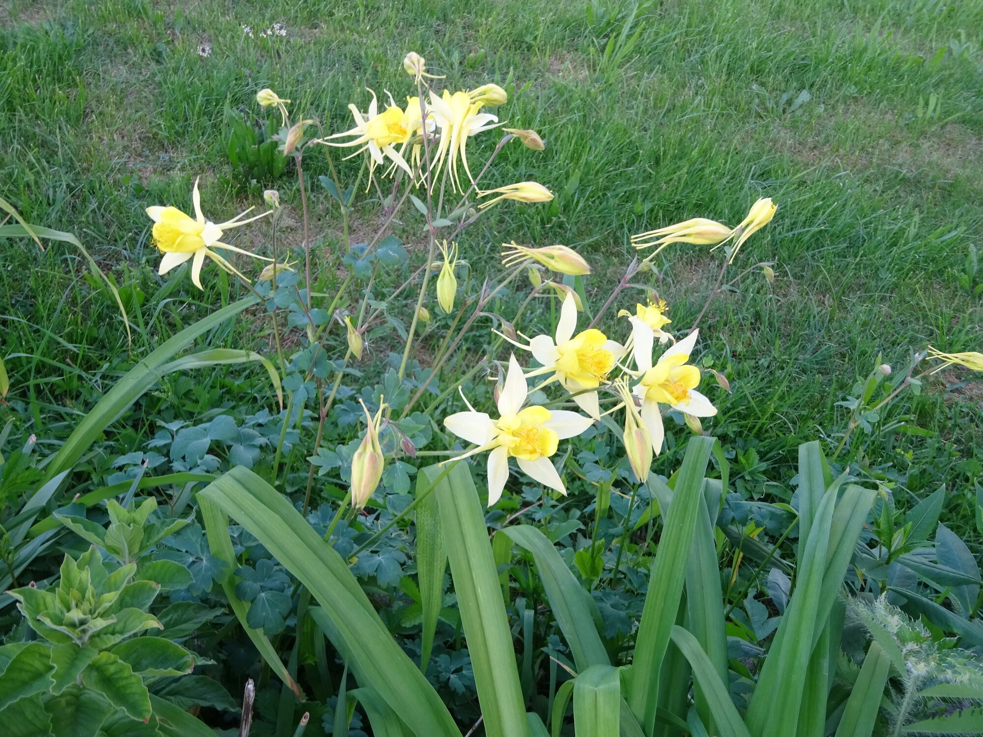 DSC03789.webp