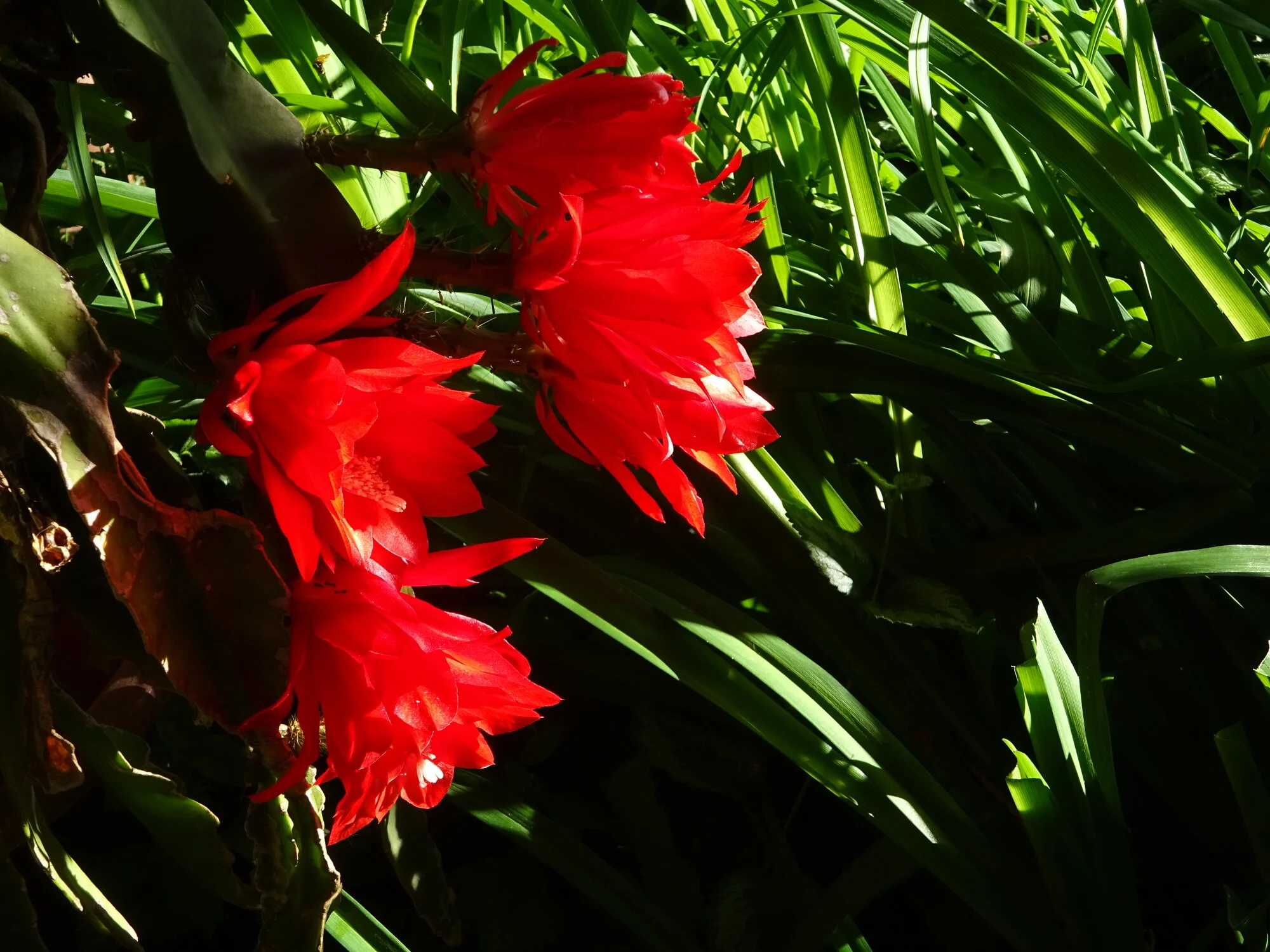 DSC03792.webp