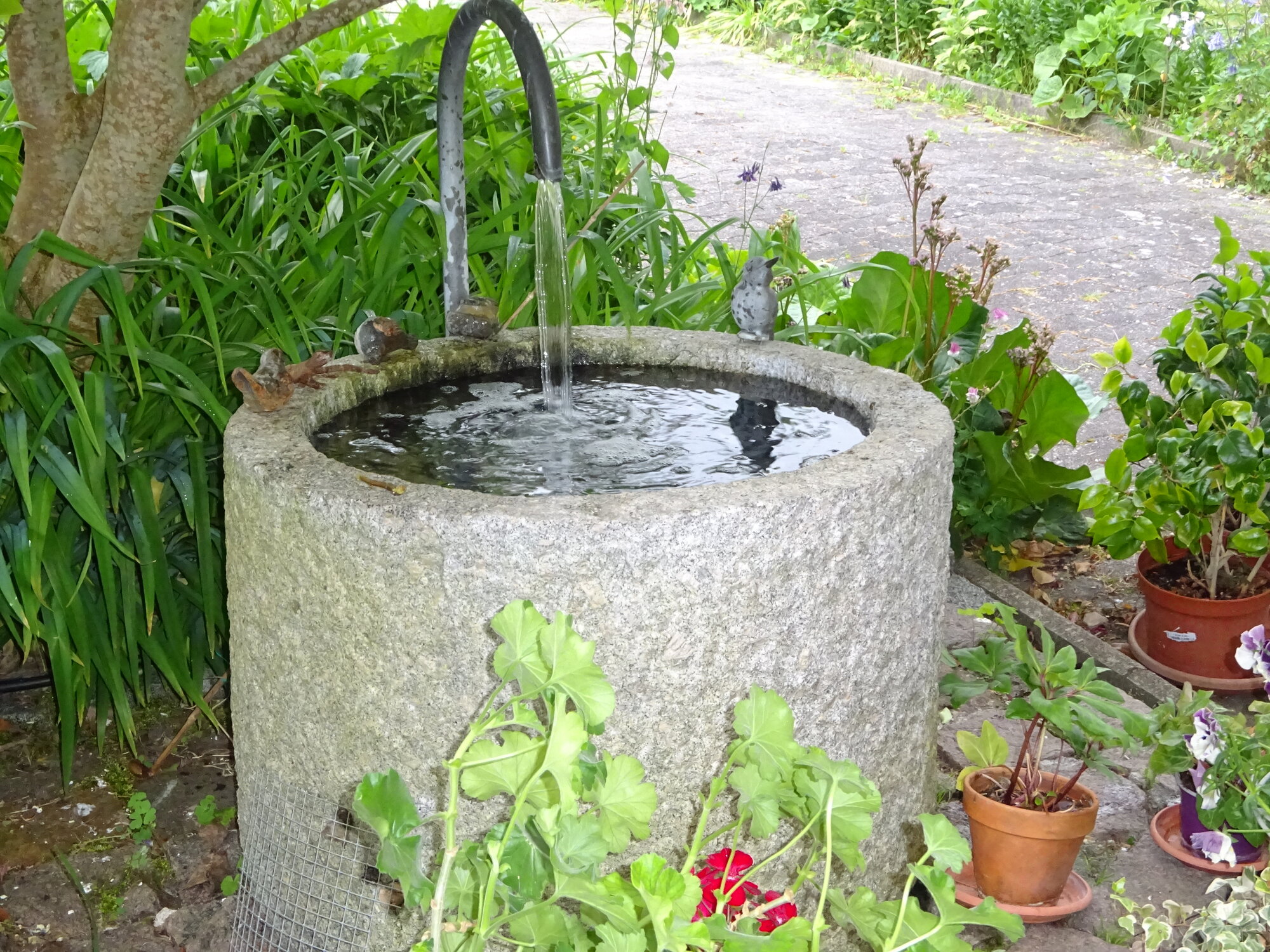 DSC03794.JPG