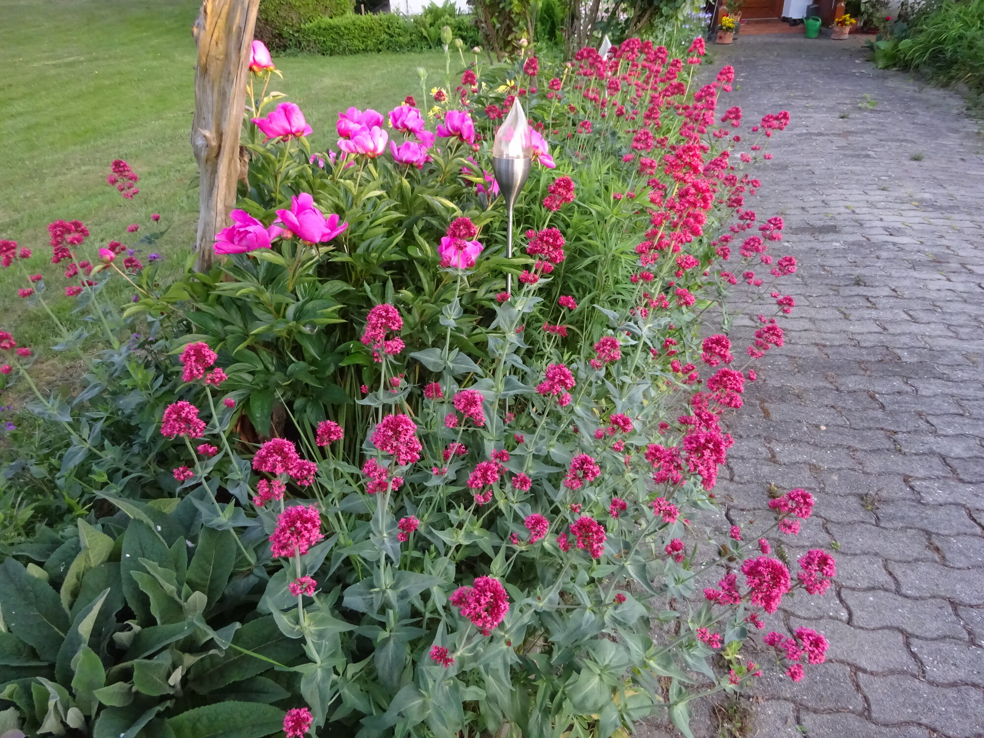 DSC03797.JPG
