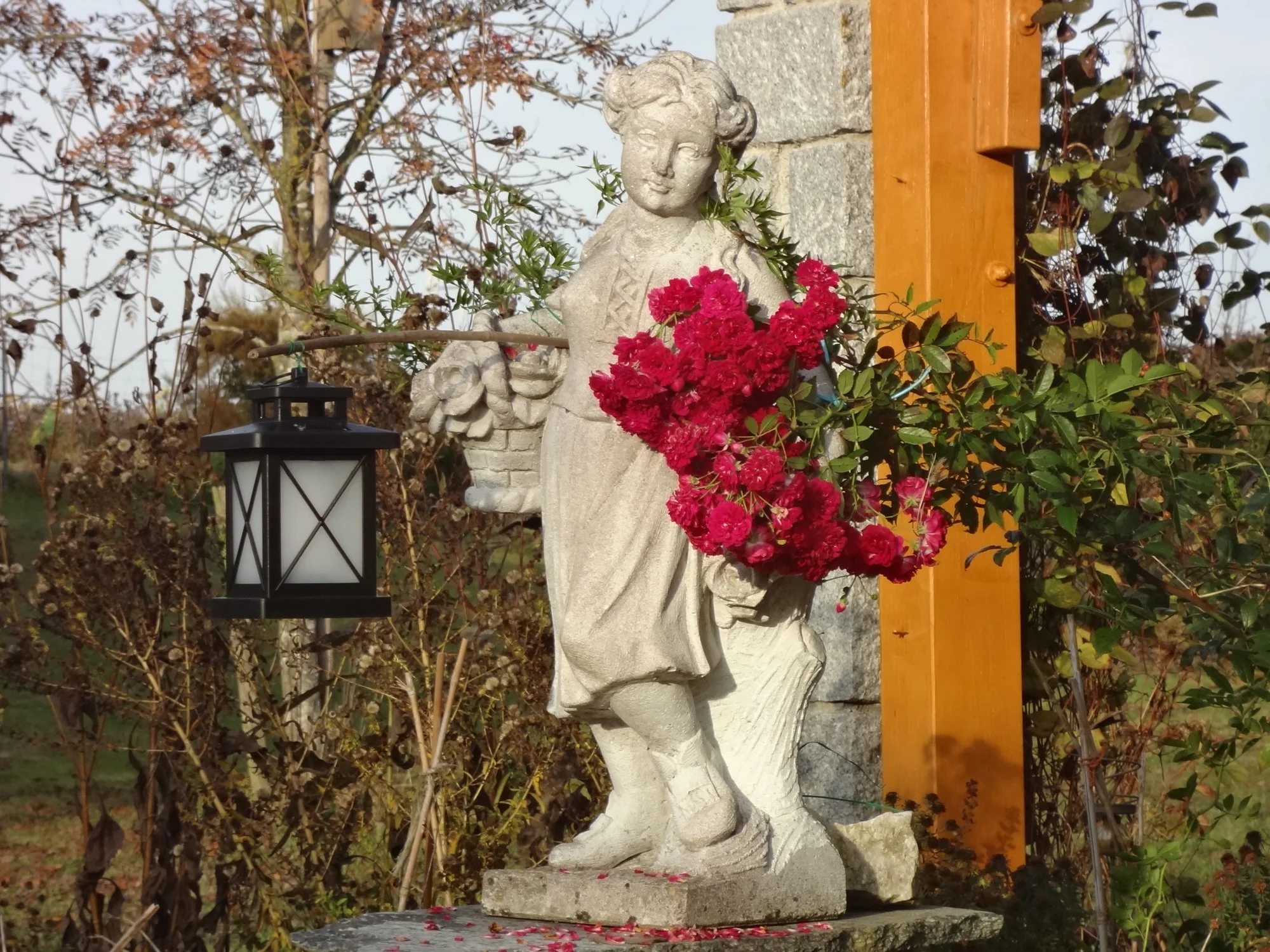 DSC03800.webp