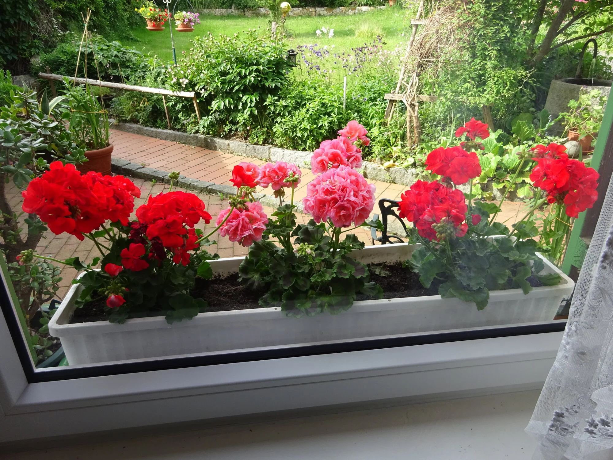 DSC03802.webp