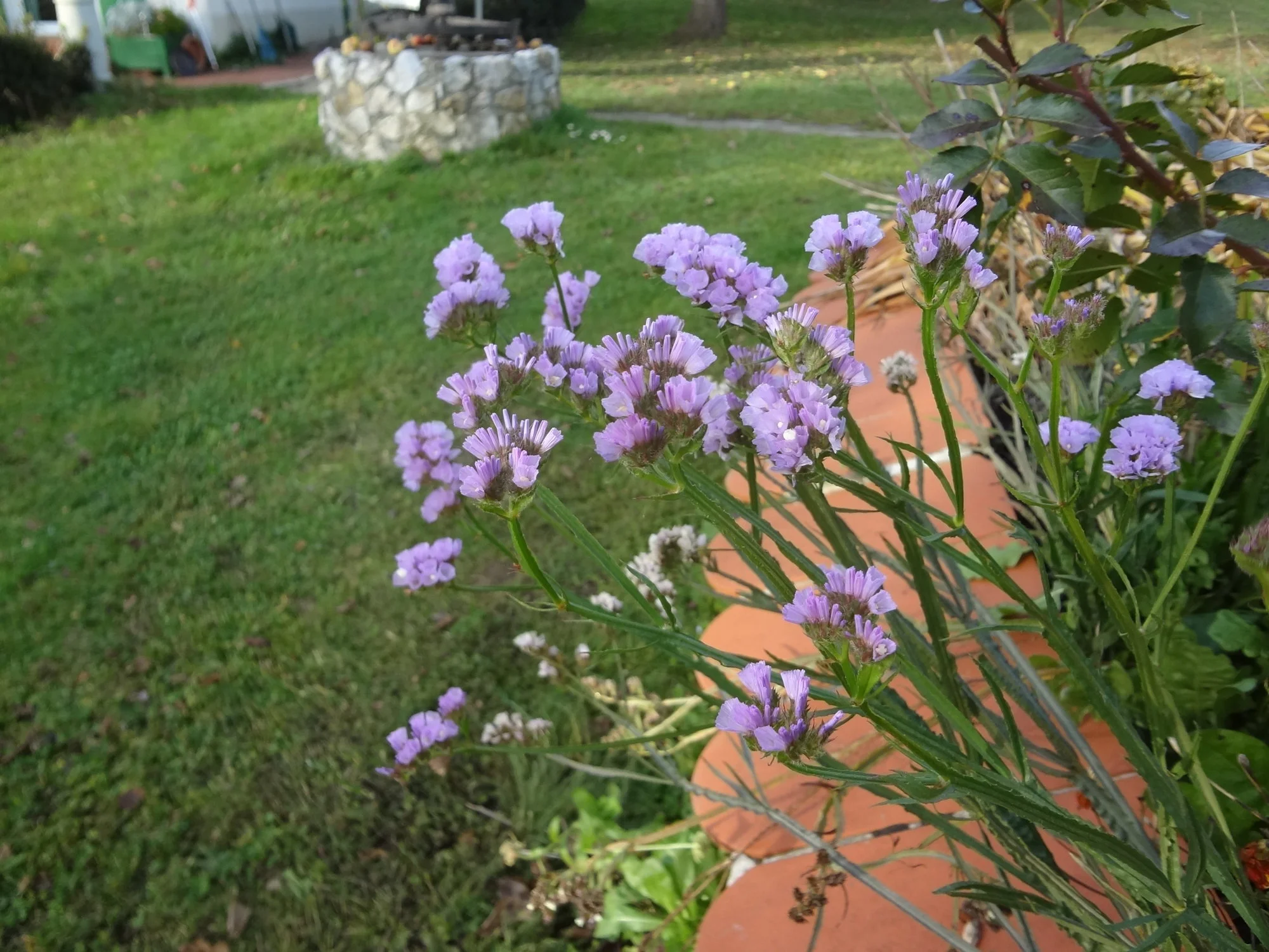 DSC03804.webp