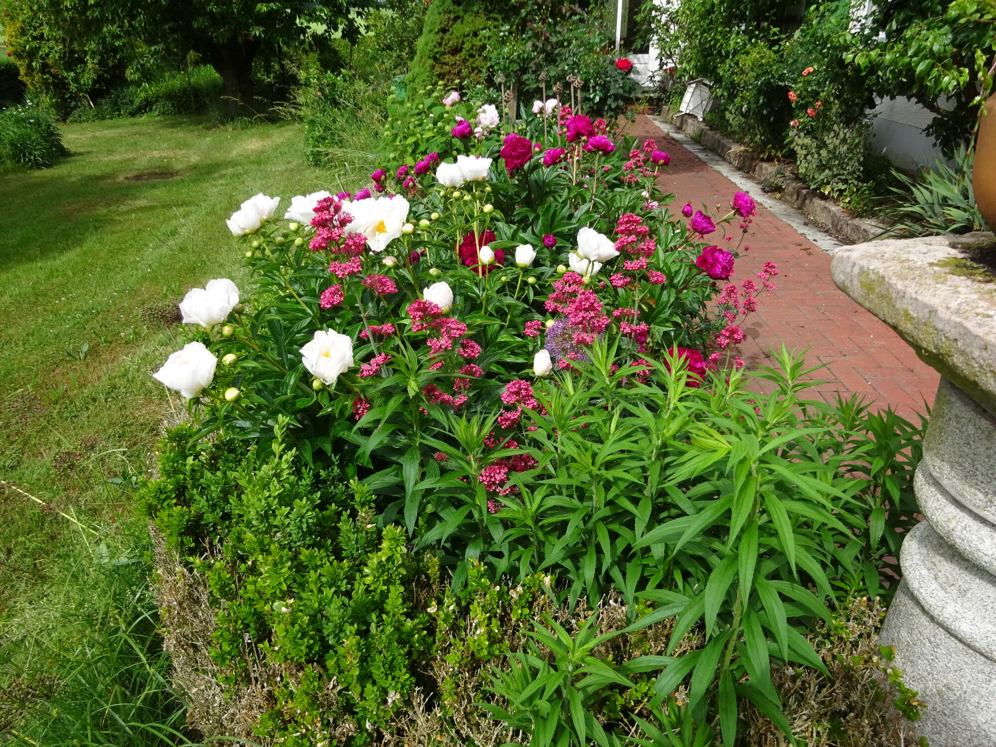 DSC03805.JPG