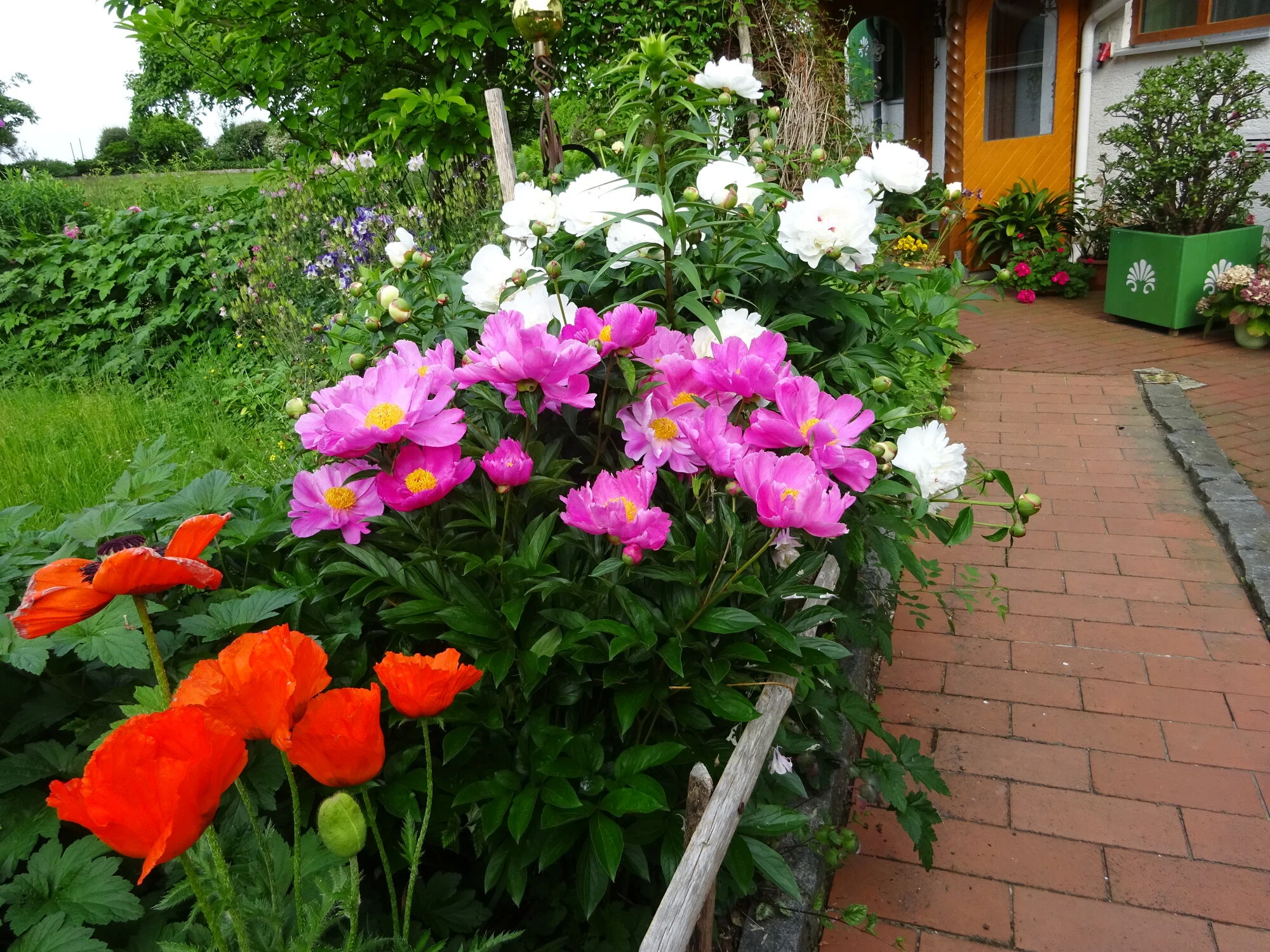 DSC03806.webp