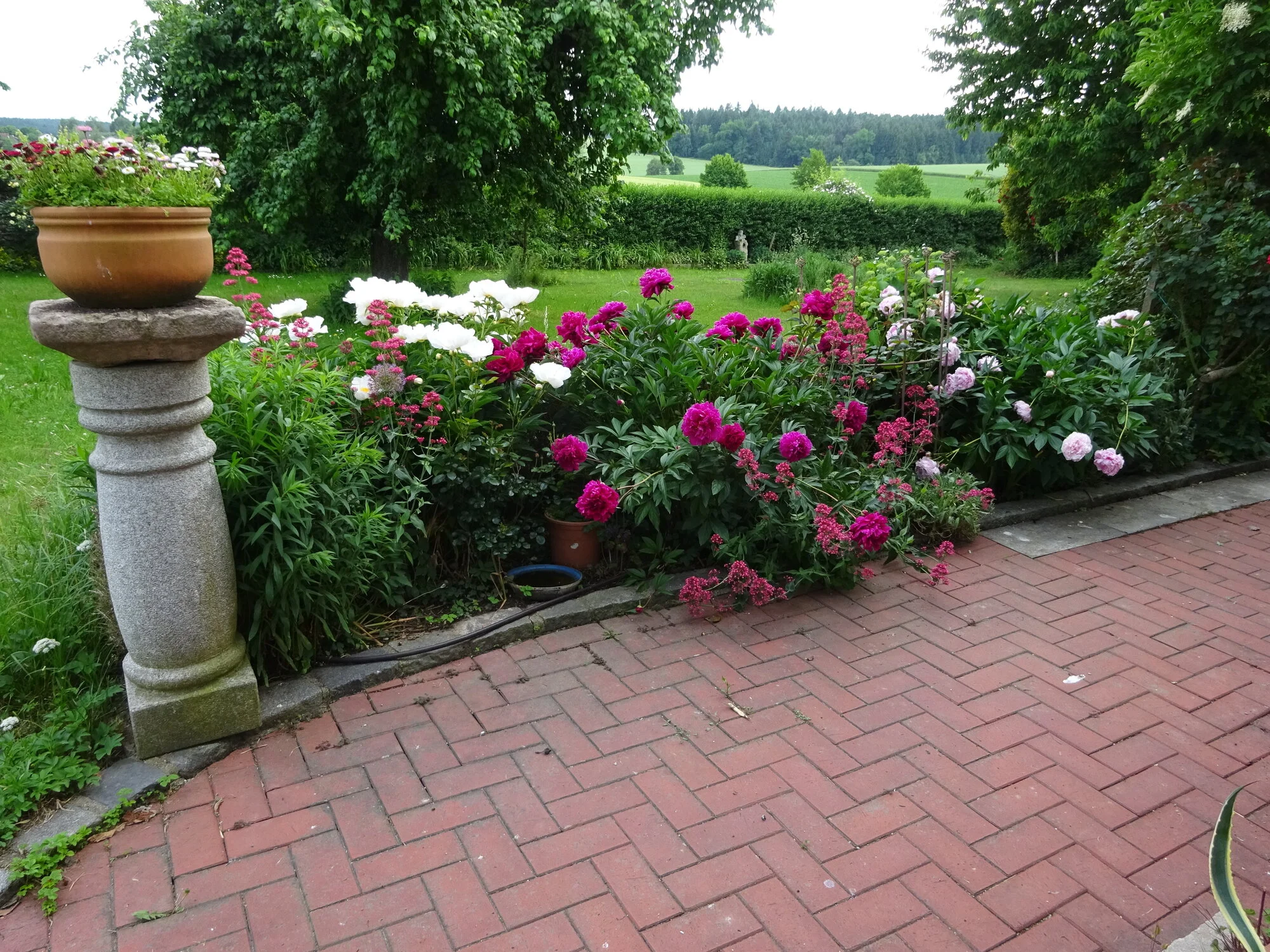 DSC03809.webp