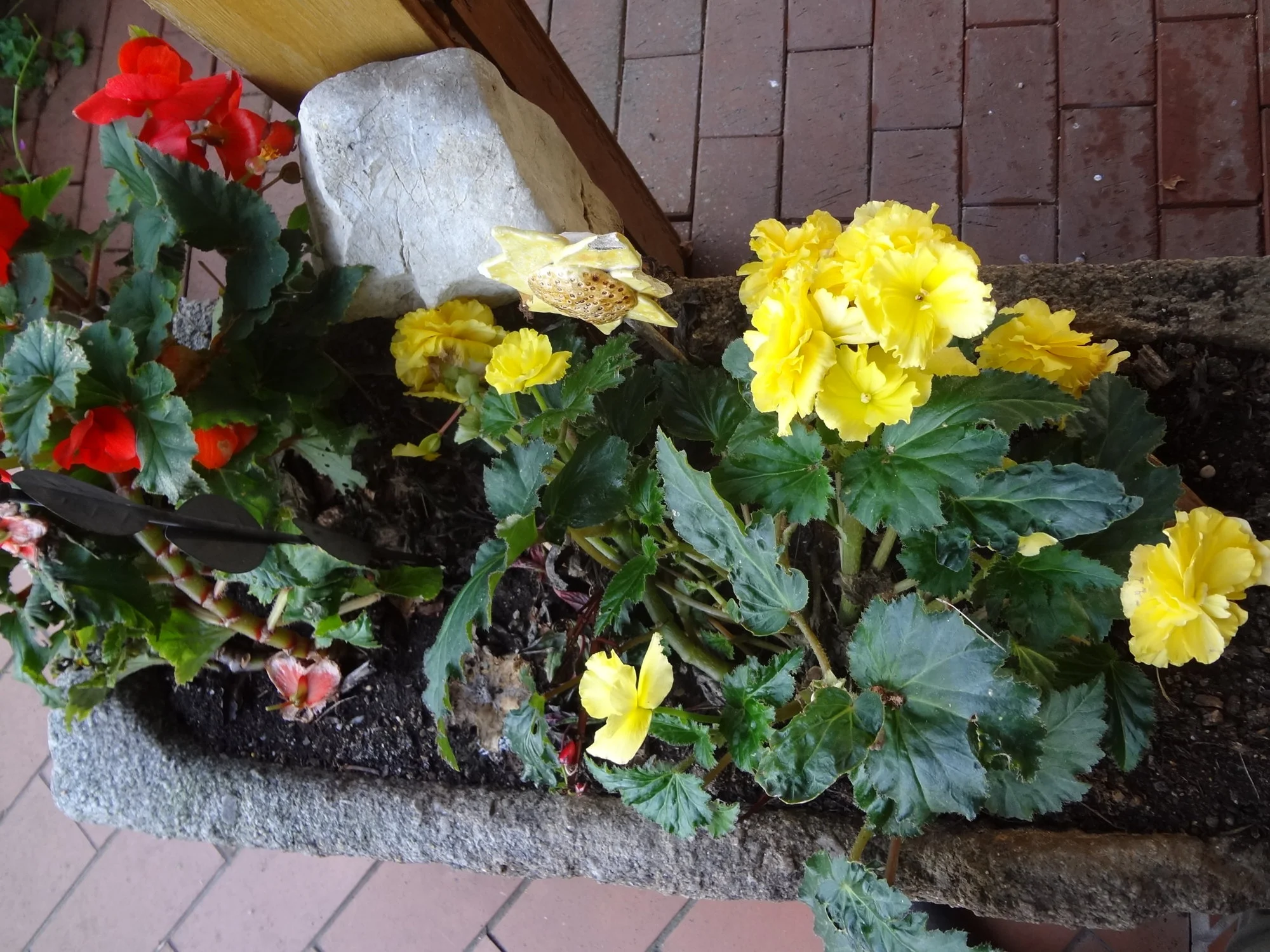 DSC03810.webp