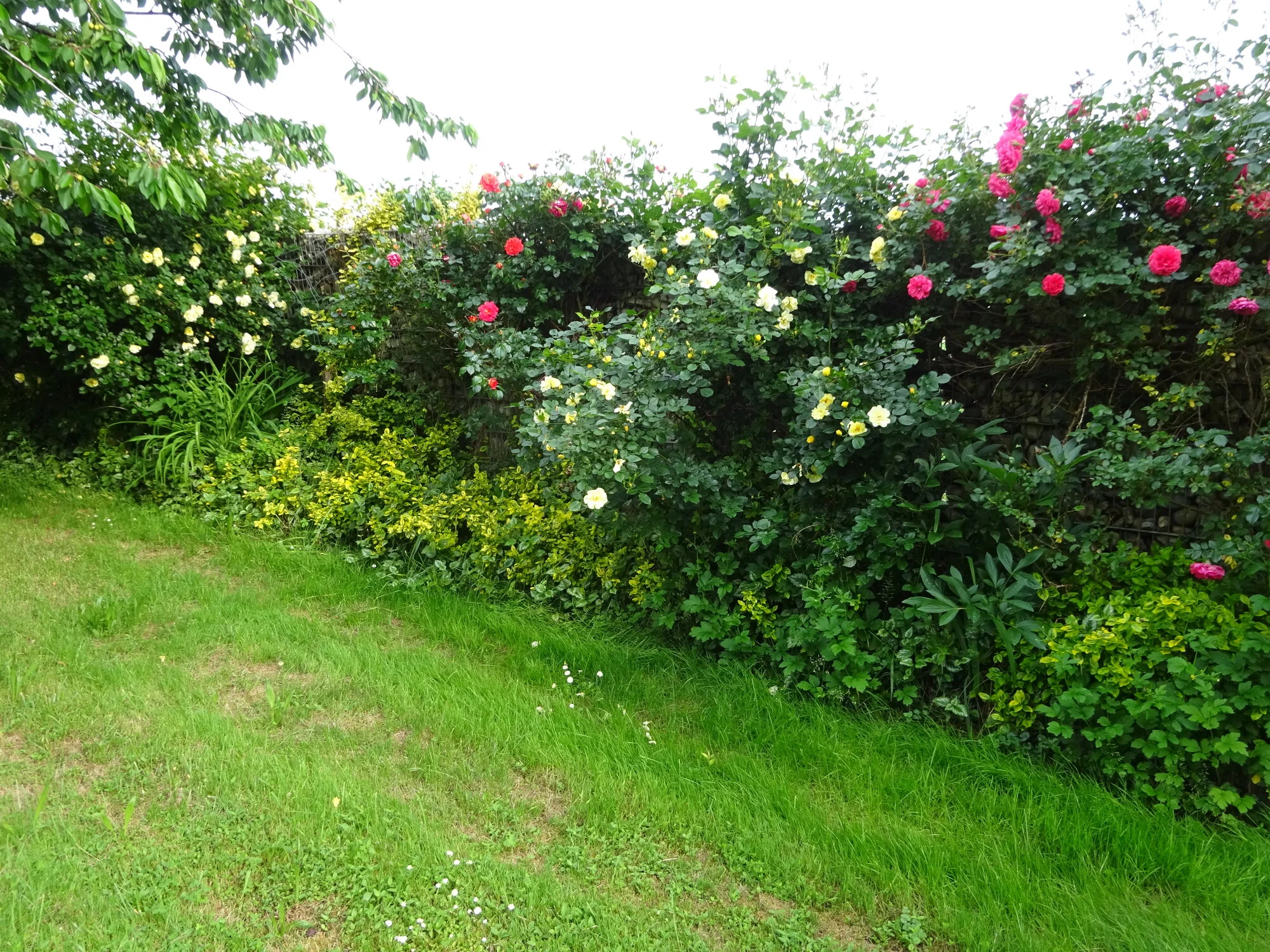 DSC03811.webp