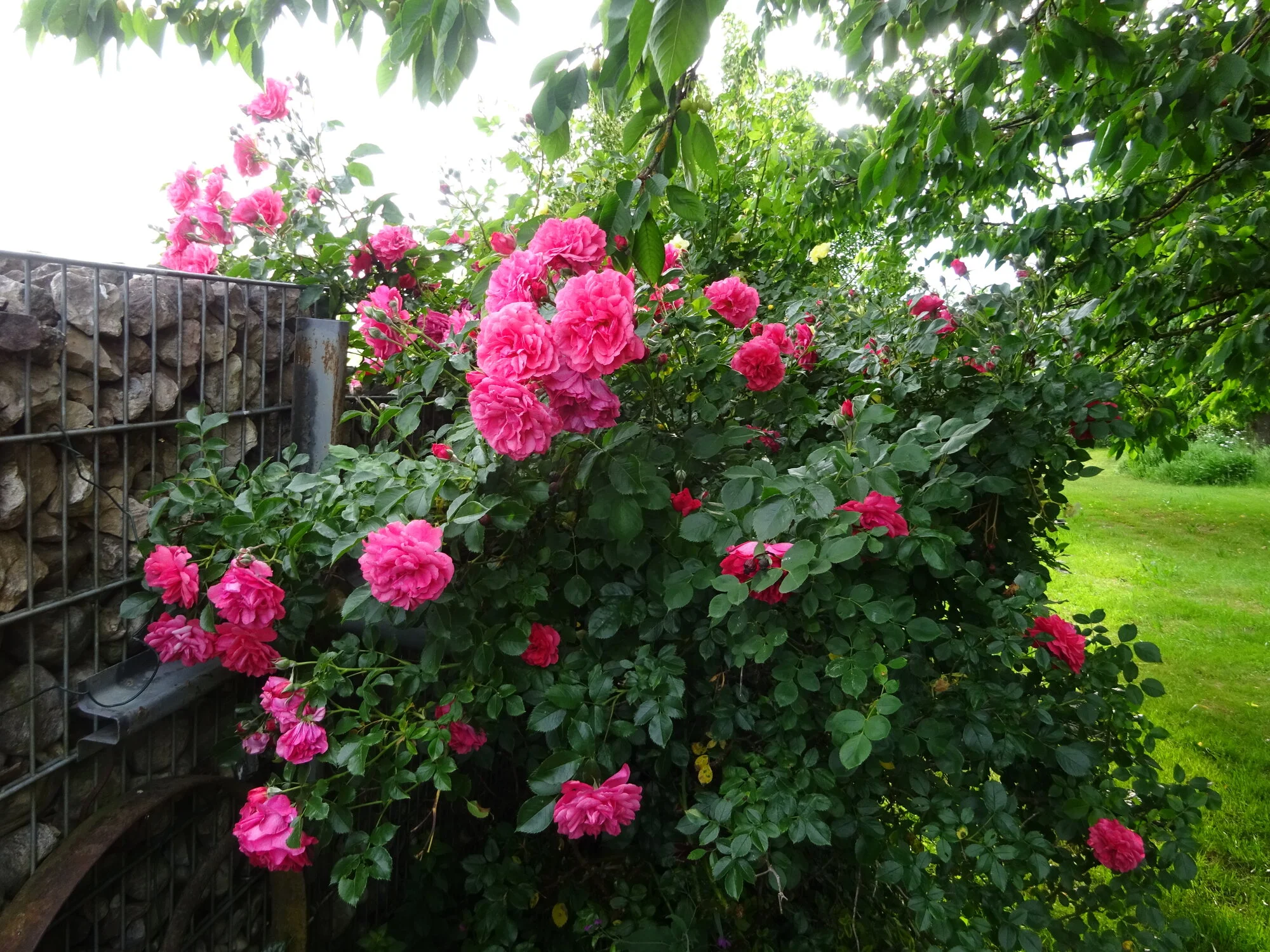 DSC03813.webp