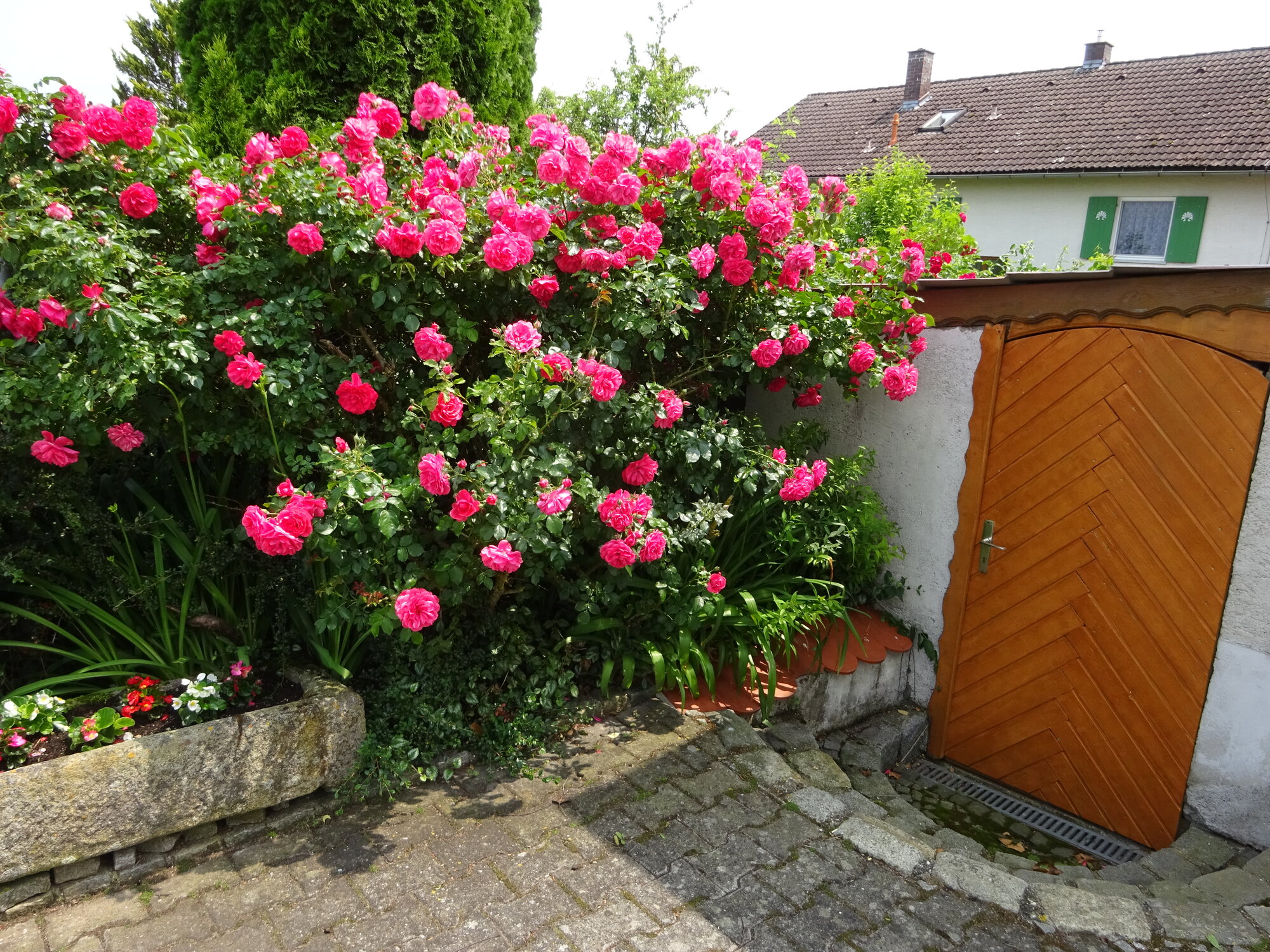 DSC03820.JPG