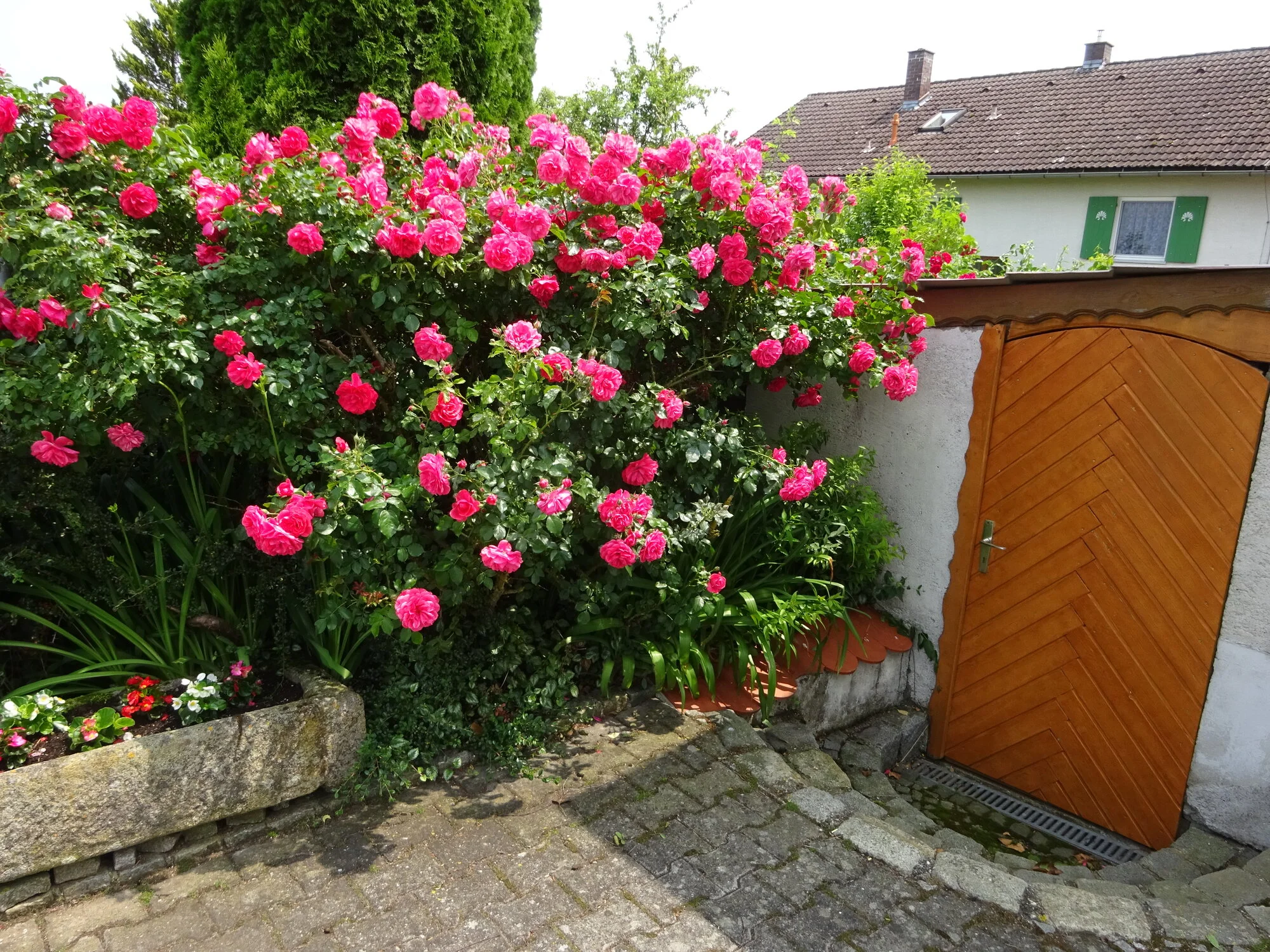 DSC03820.webp