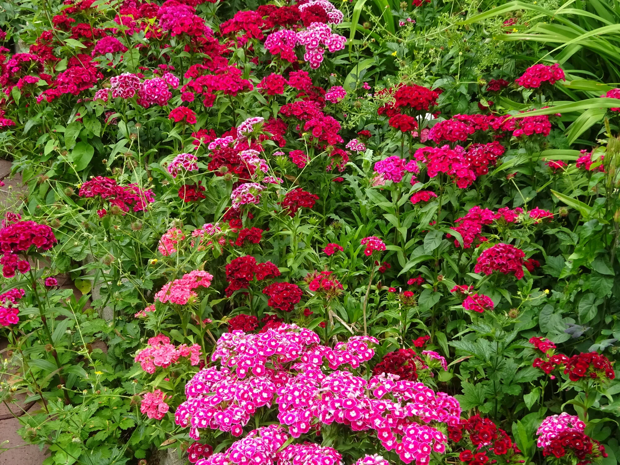 DSC03823.webp
