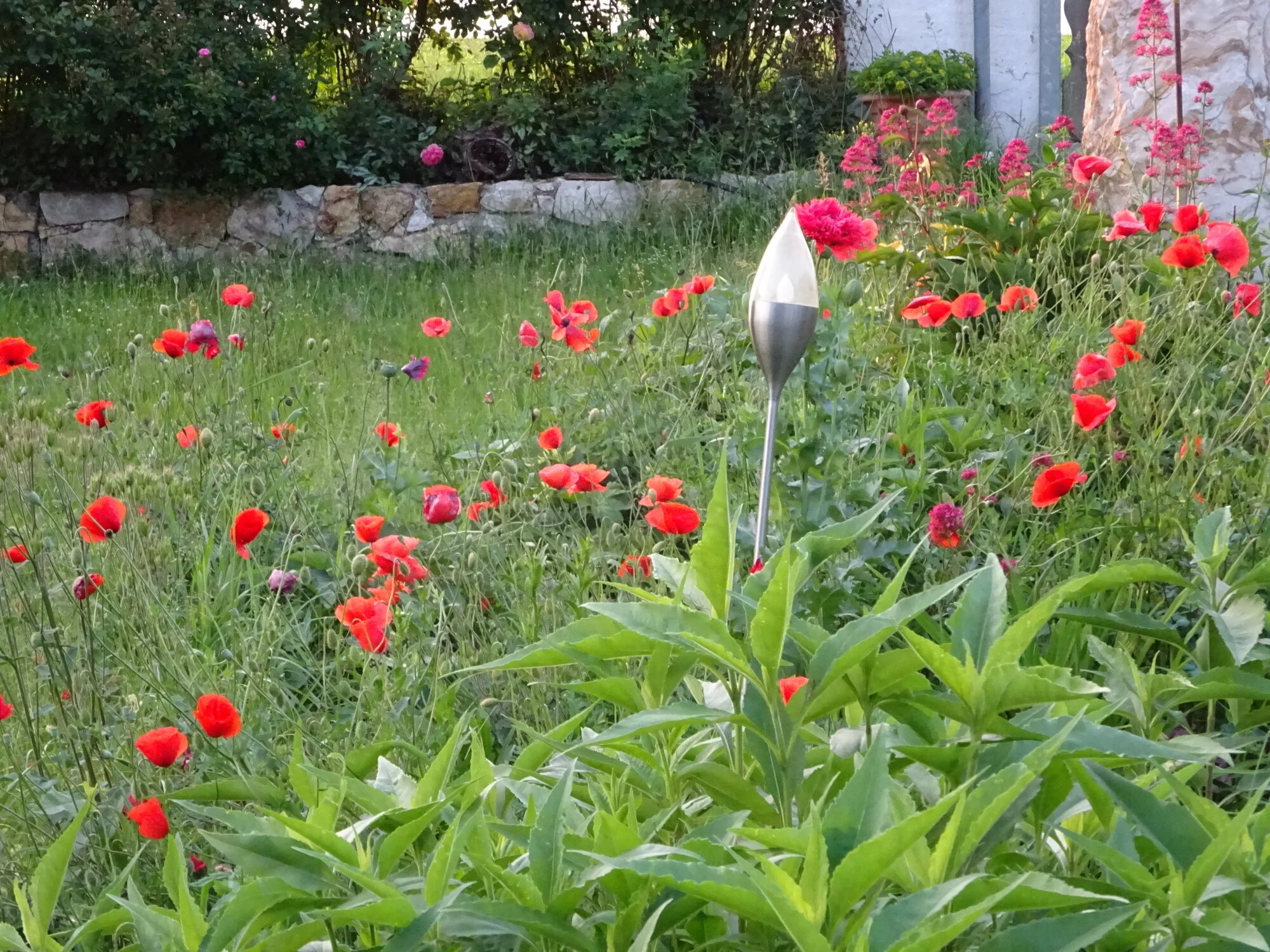 DSC03826.webp