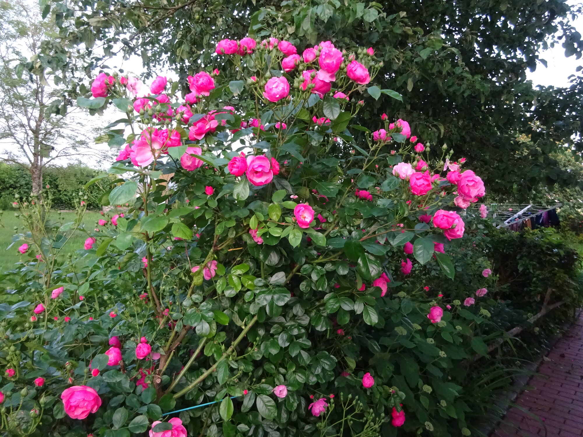 DSC03827.JPG