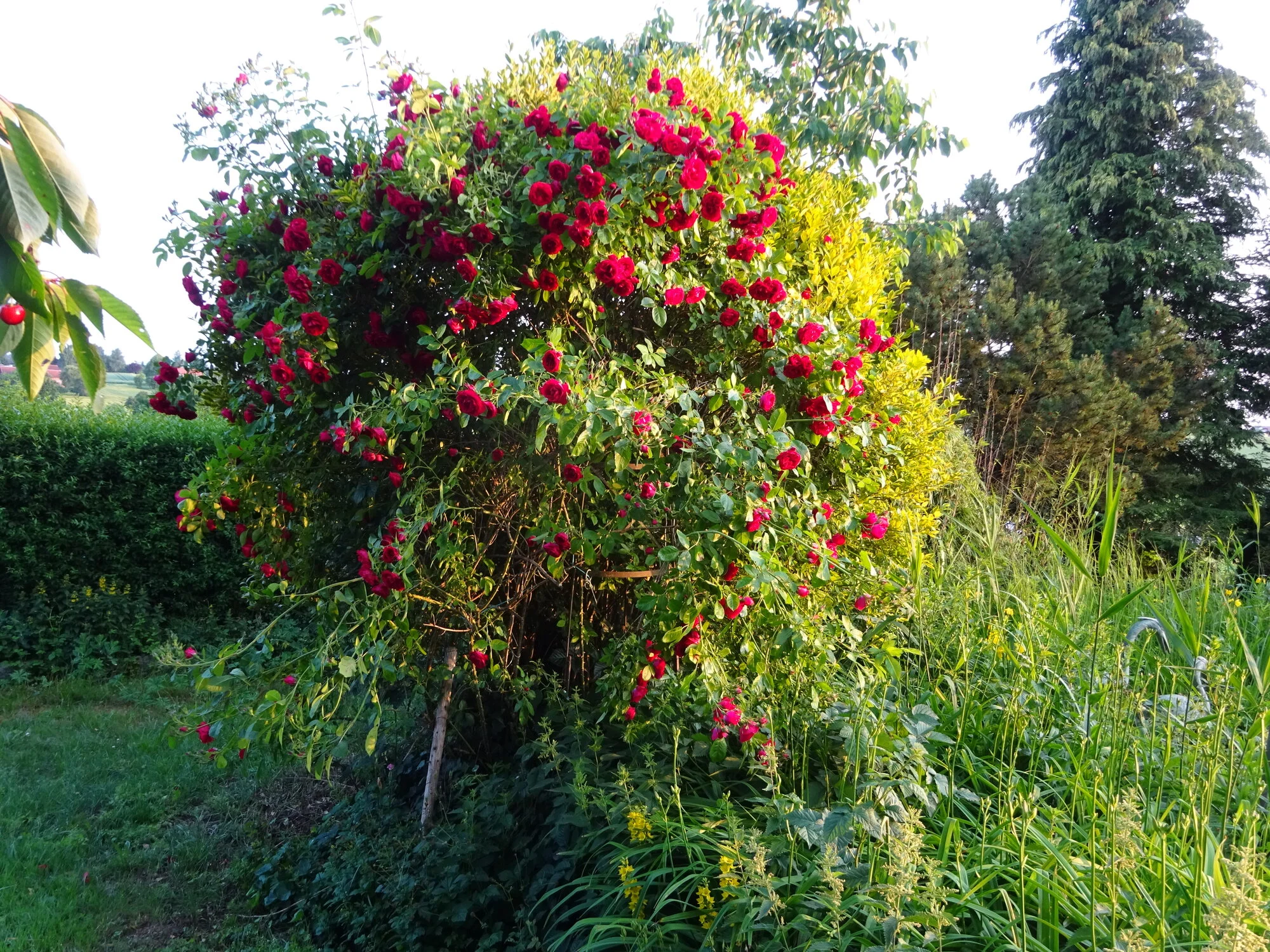 DSC03828.webp
