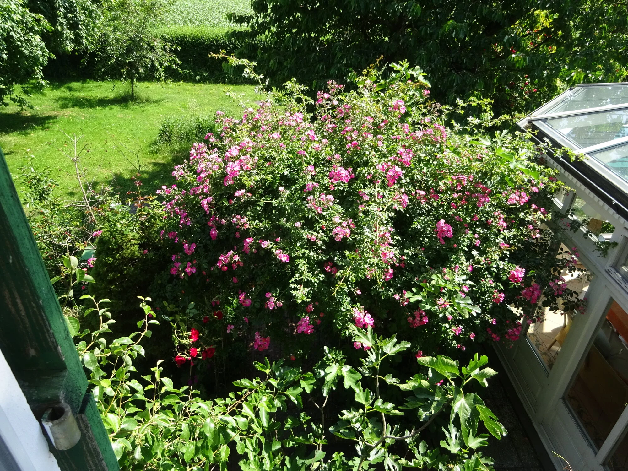 DSC03833.webp