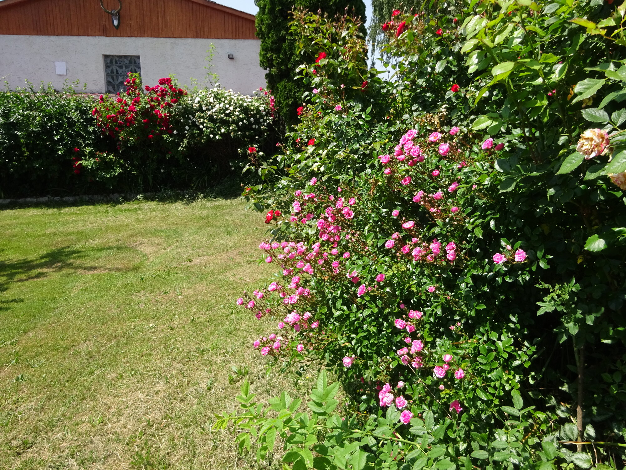 DSC03836.JPG