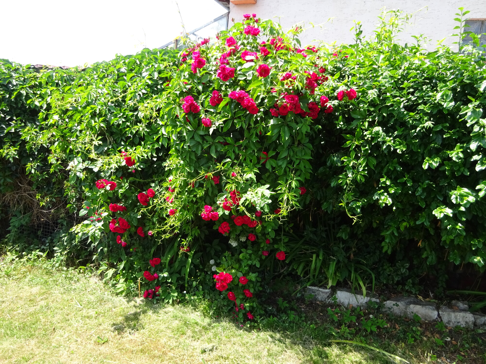 DSC03837.JPG