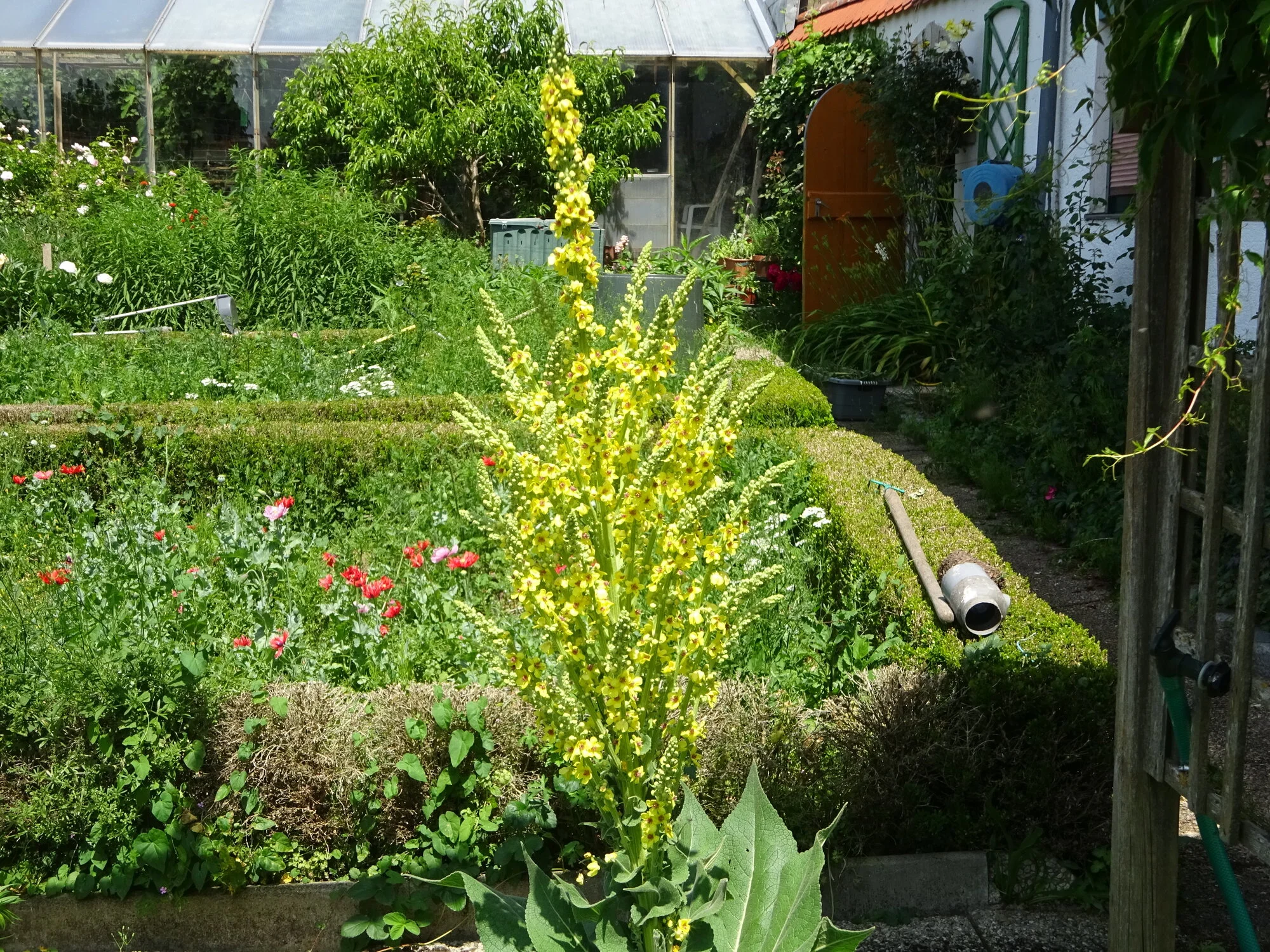 DSC03840.webp