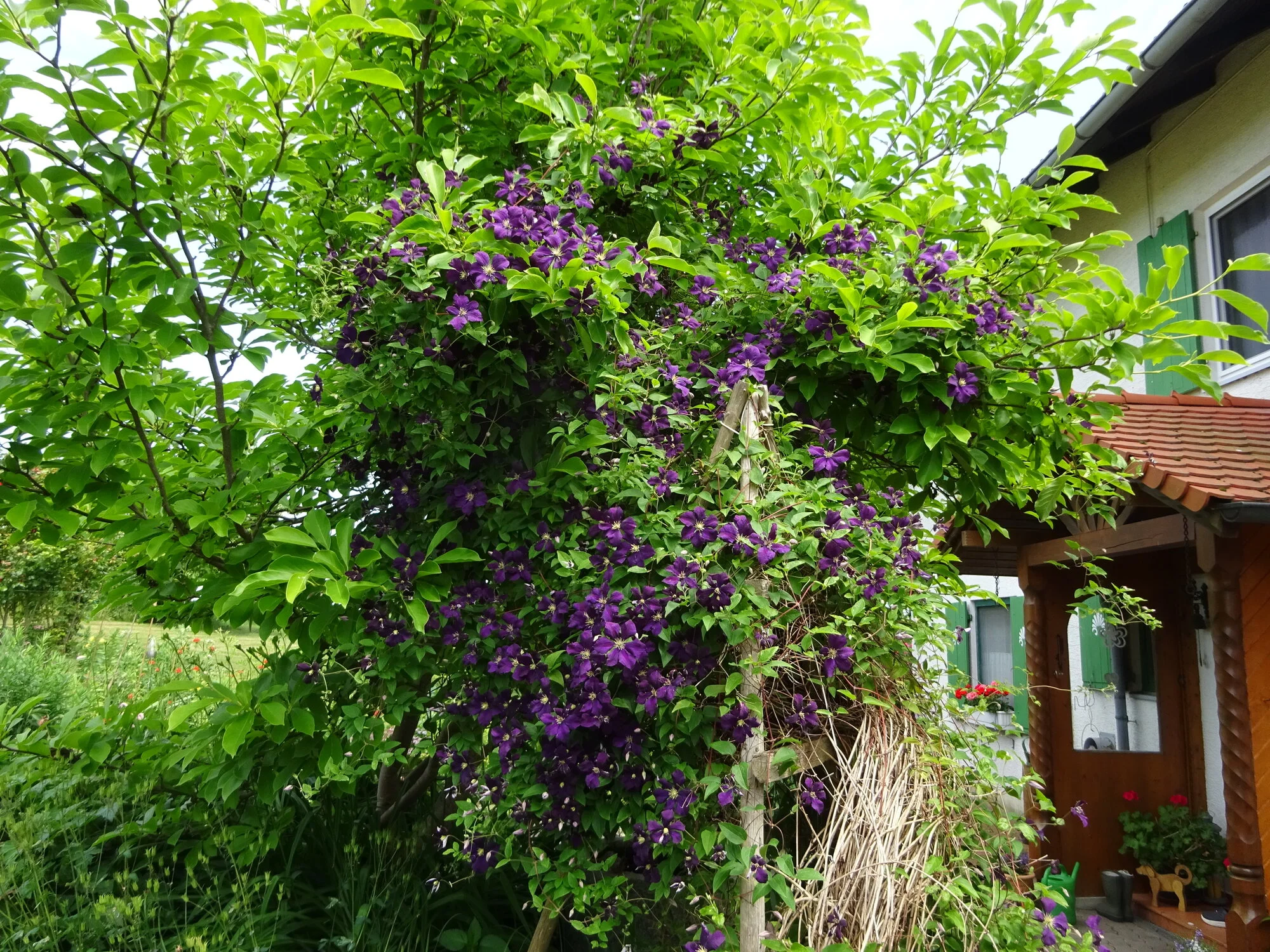 DSC03843.webp