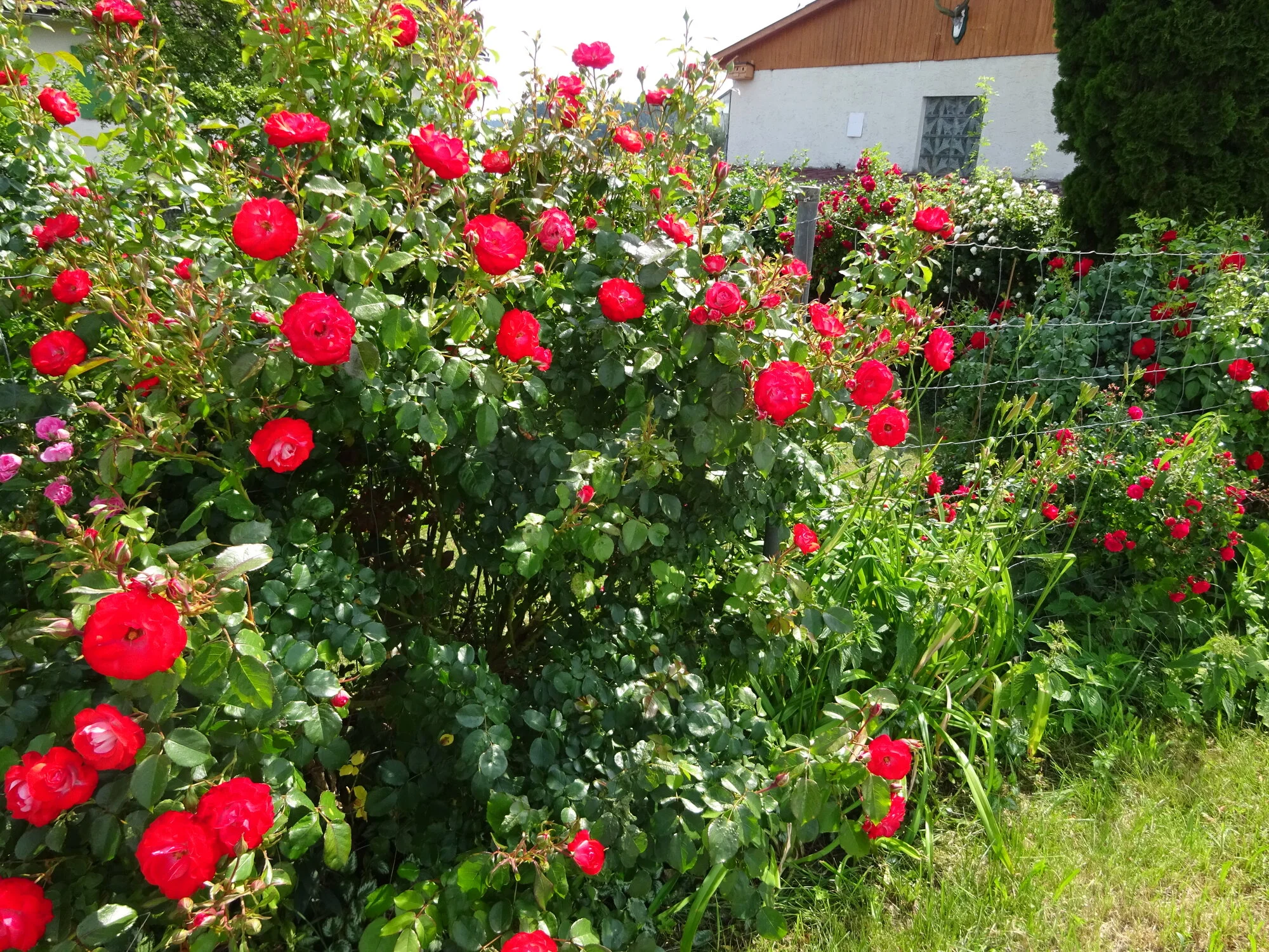 DSC03848.JPG
