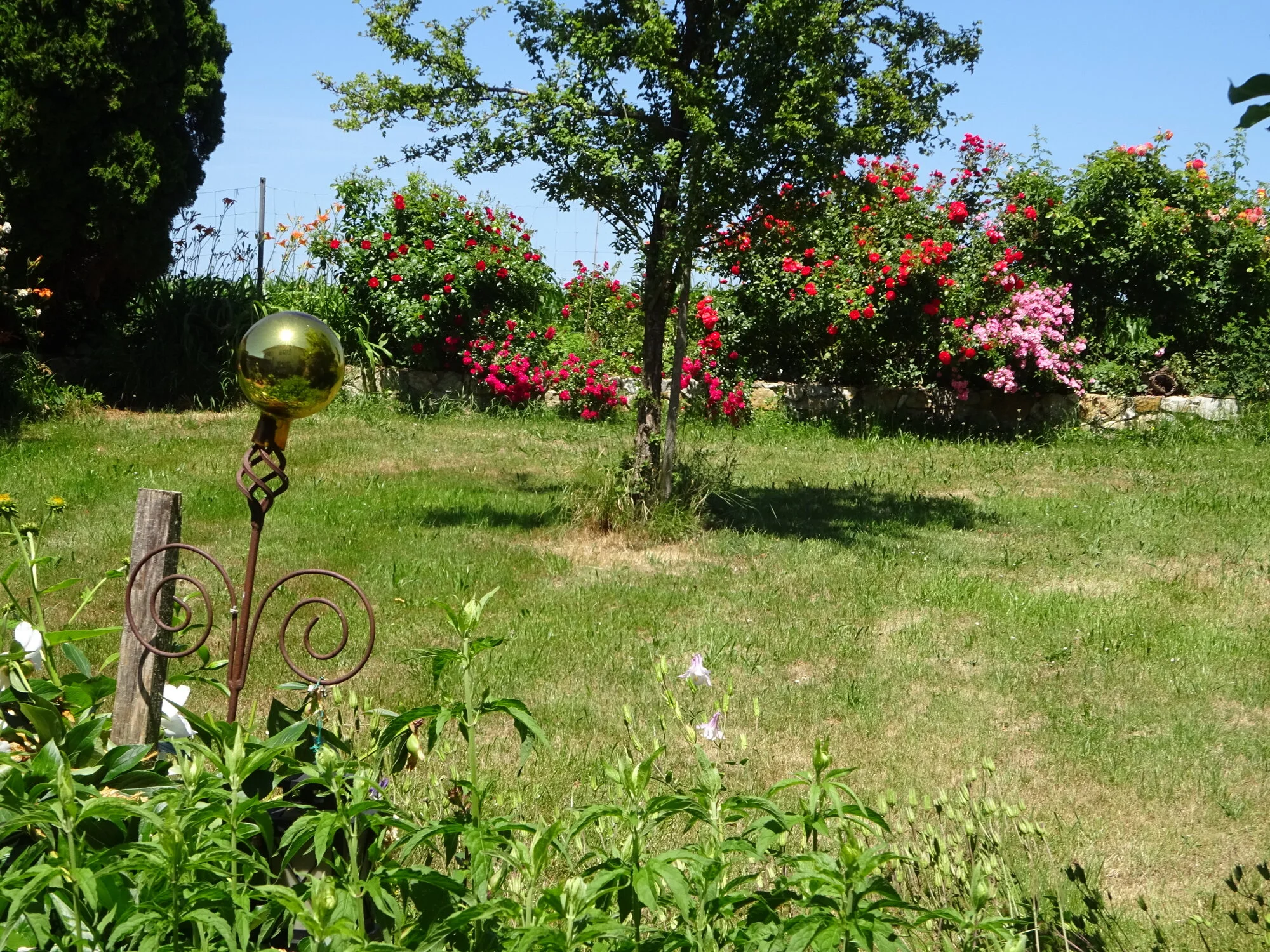 DSC03856.webp