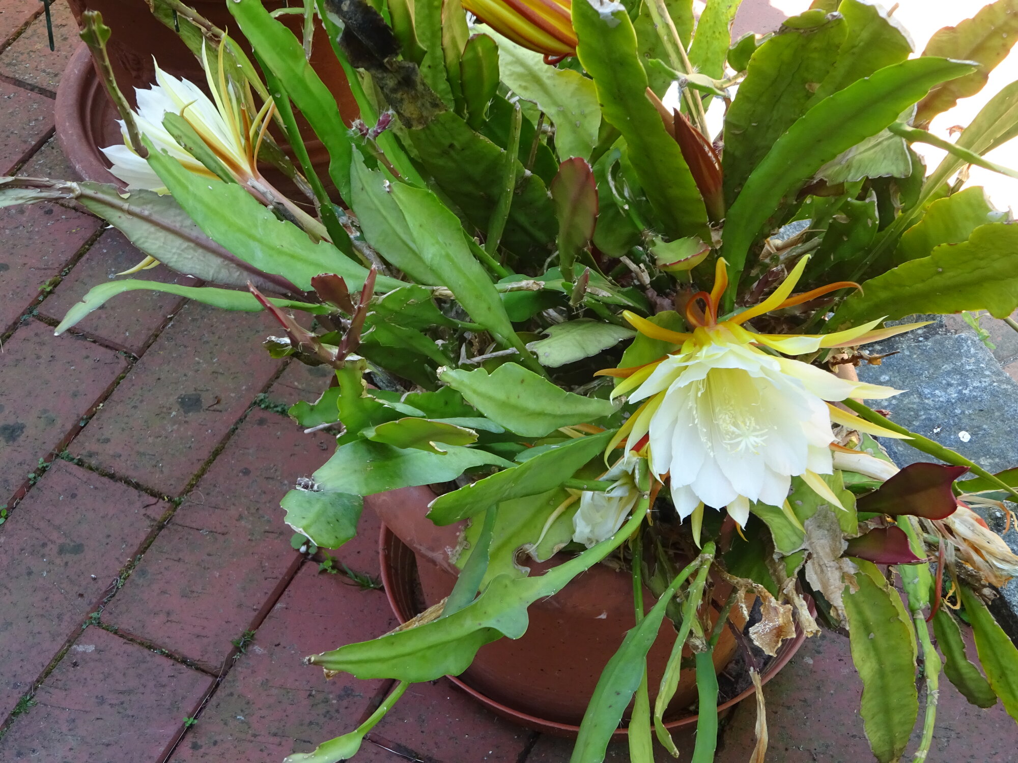 DSC03857.JPG
