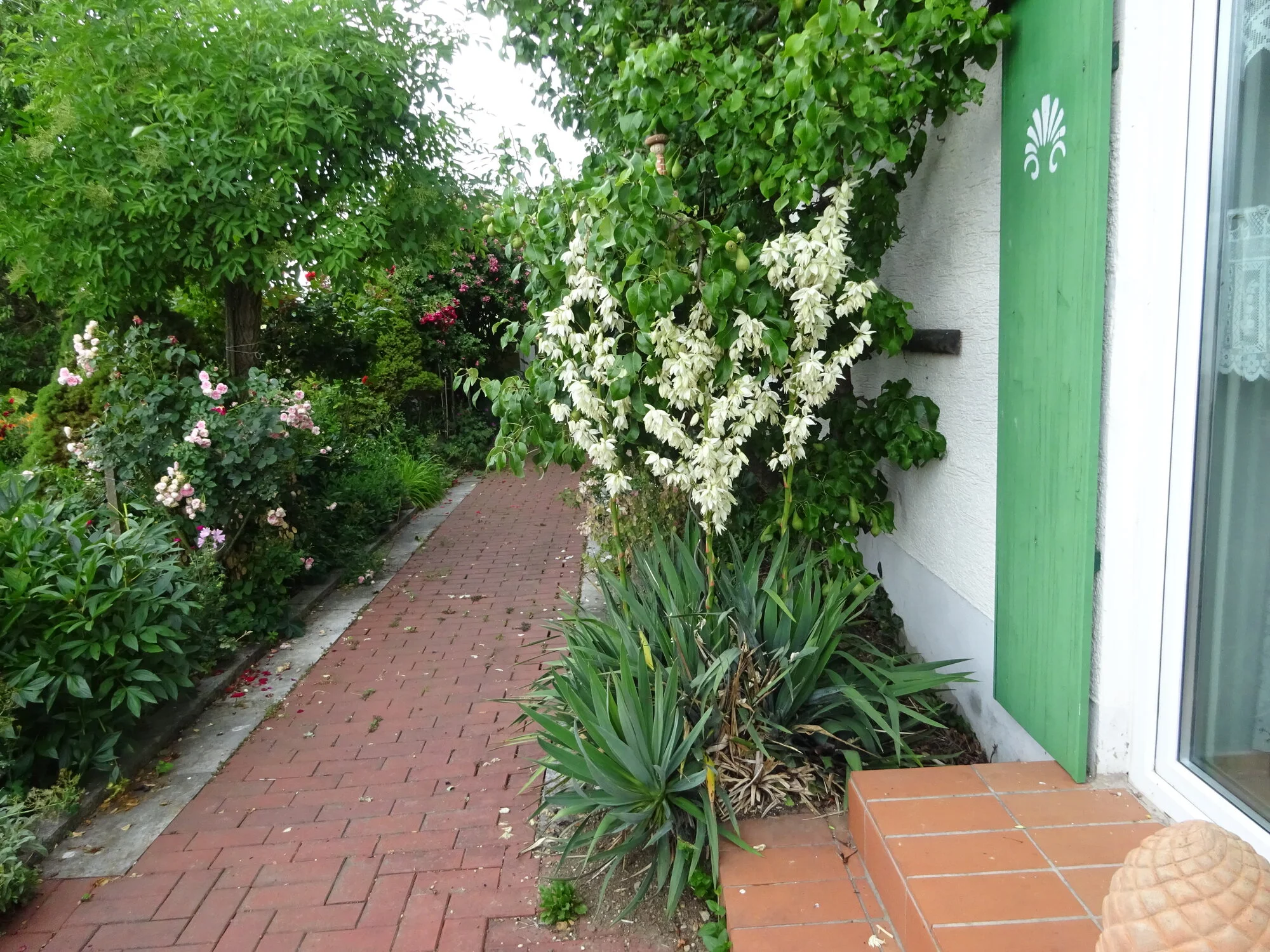 DSC03867.webp