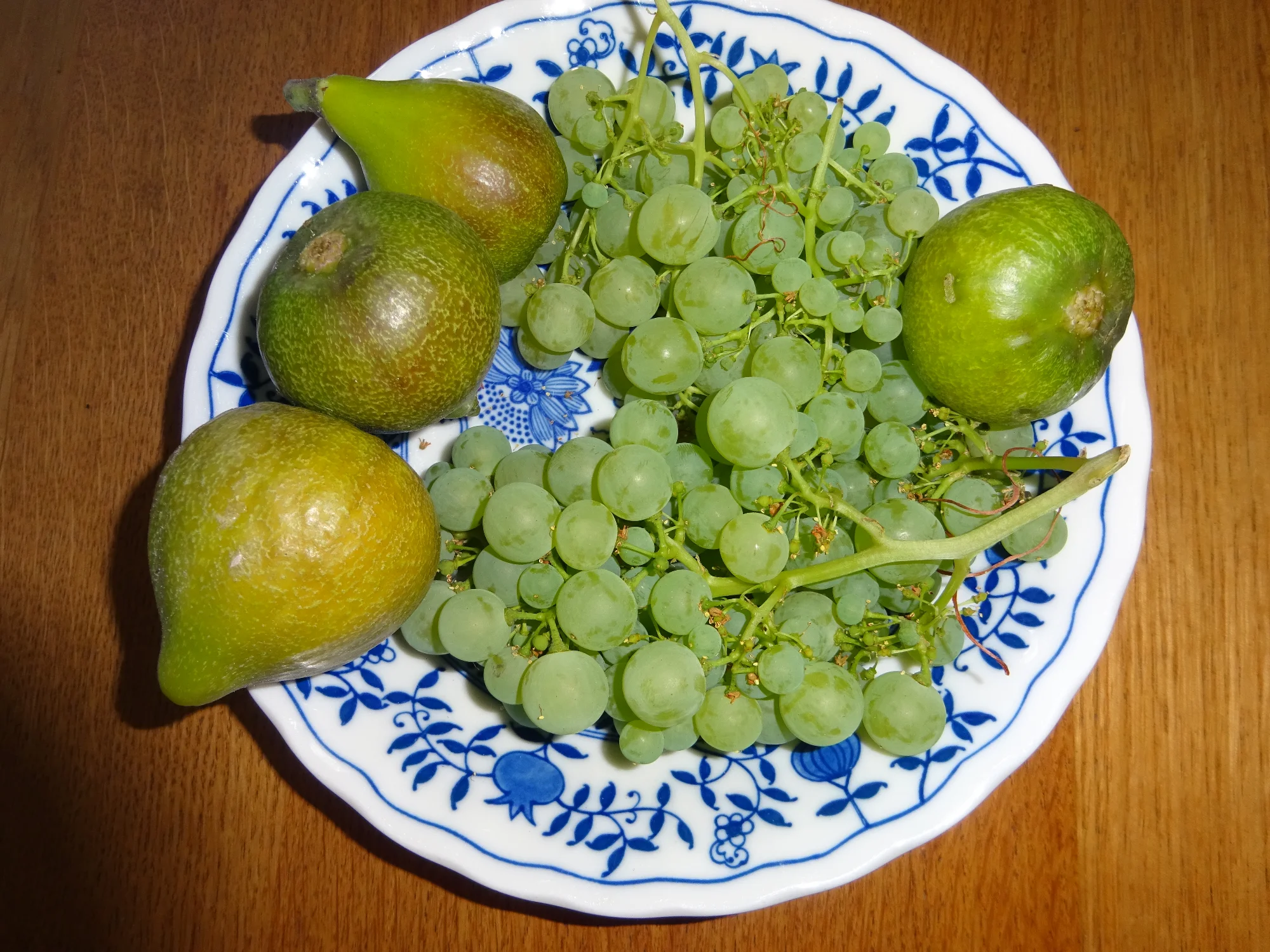 DSC03879.webp