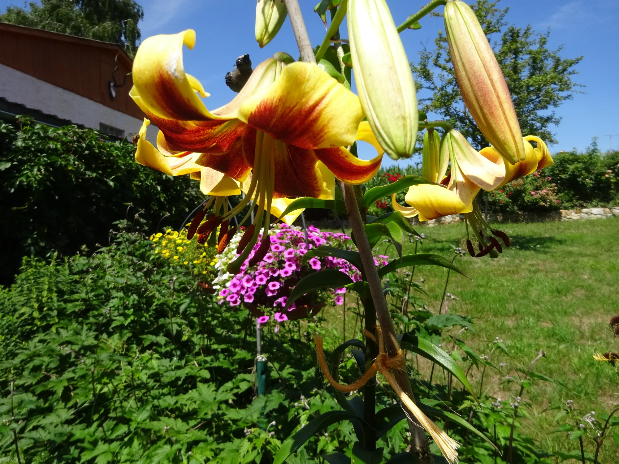 DSC03883.webp