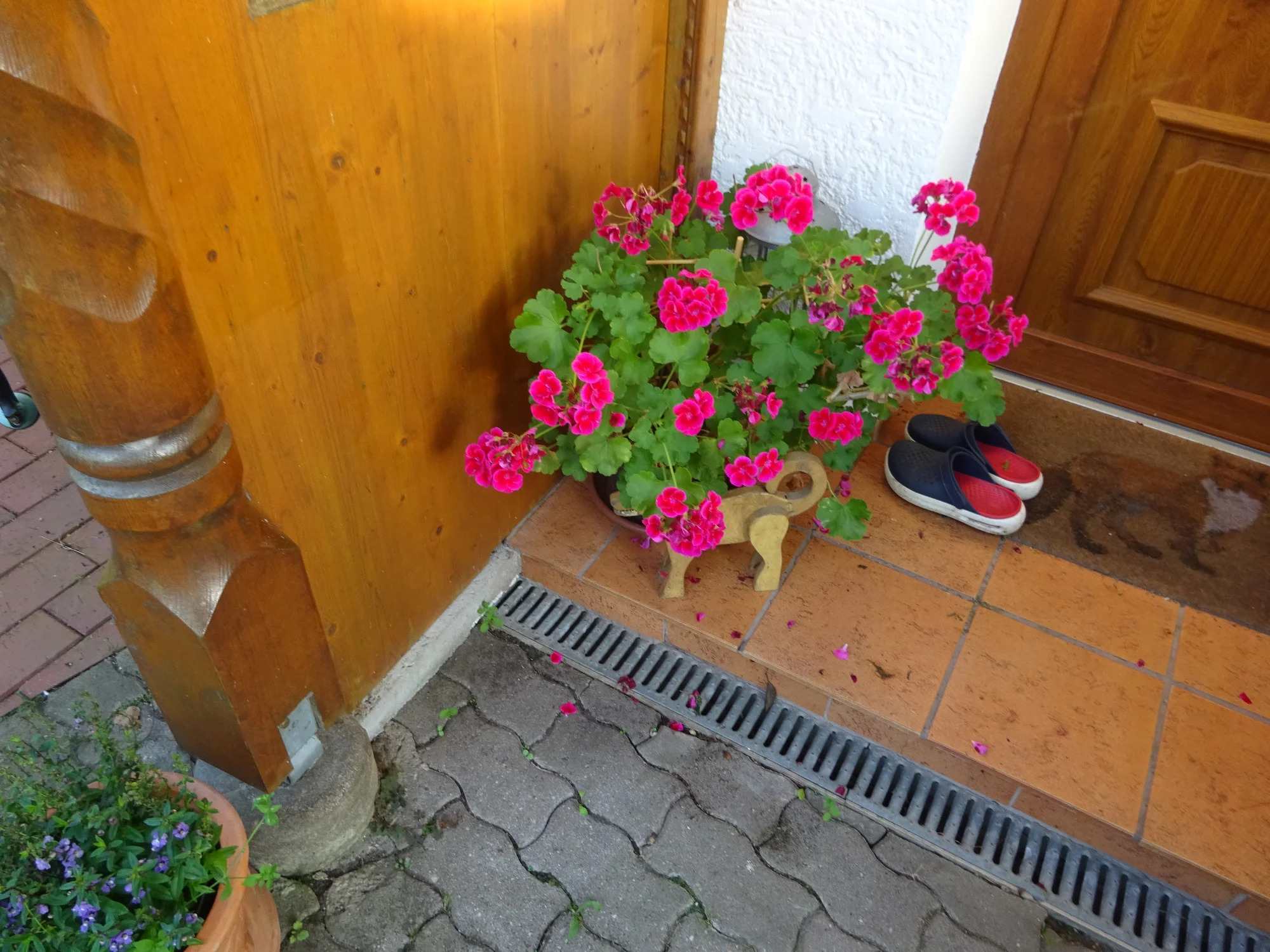 DSC03896.webp