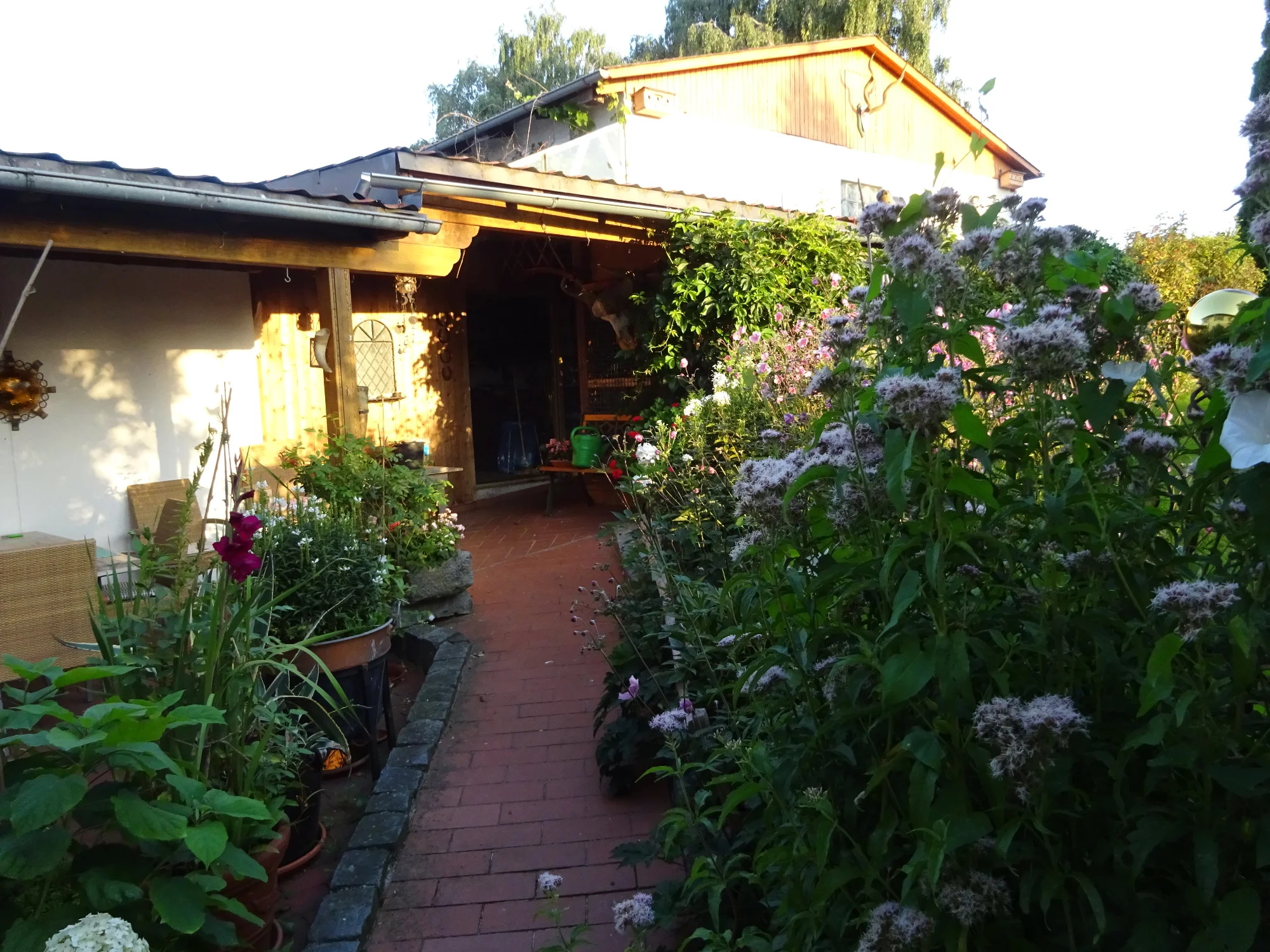 DSC03901.webp